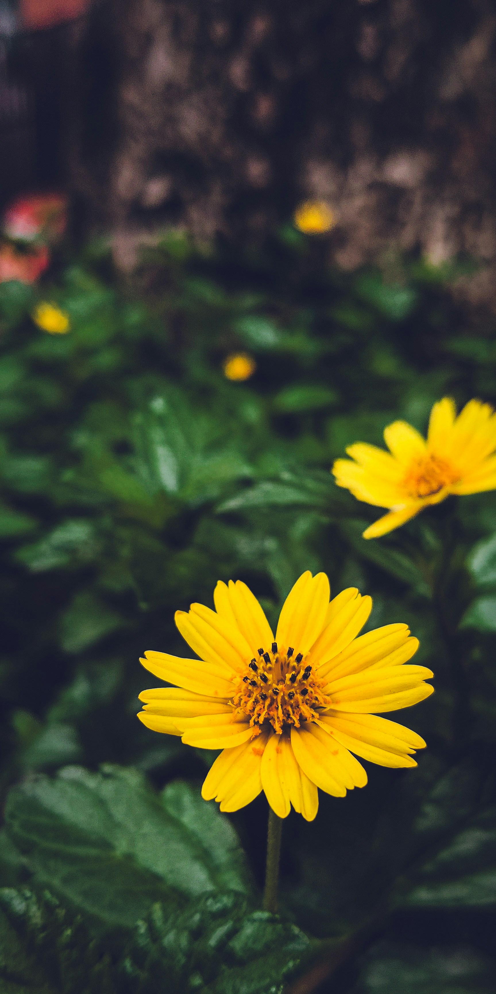 Photo by ranjanaphotography