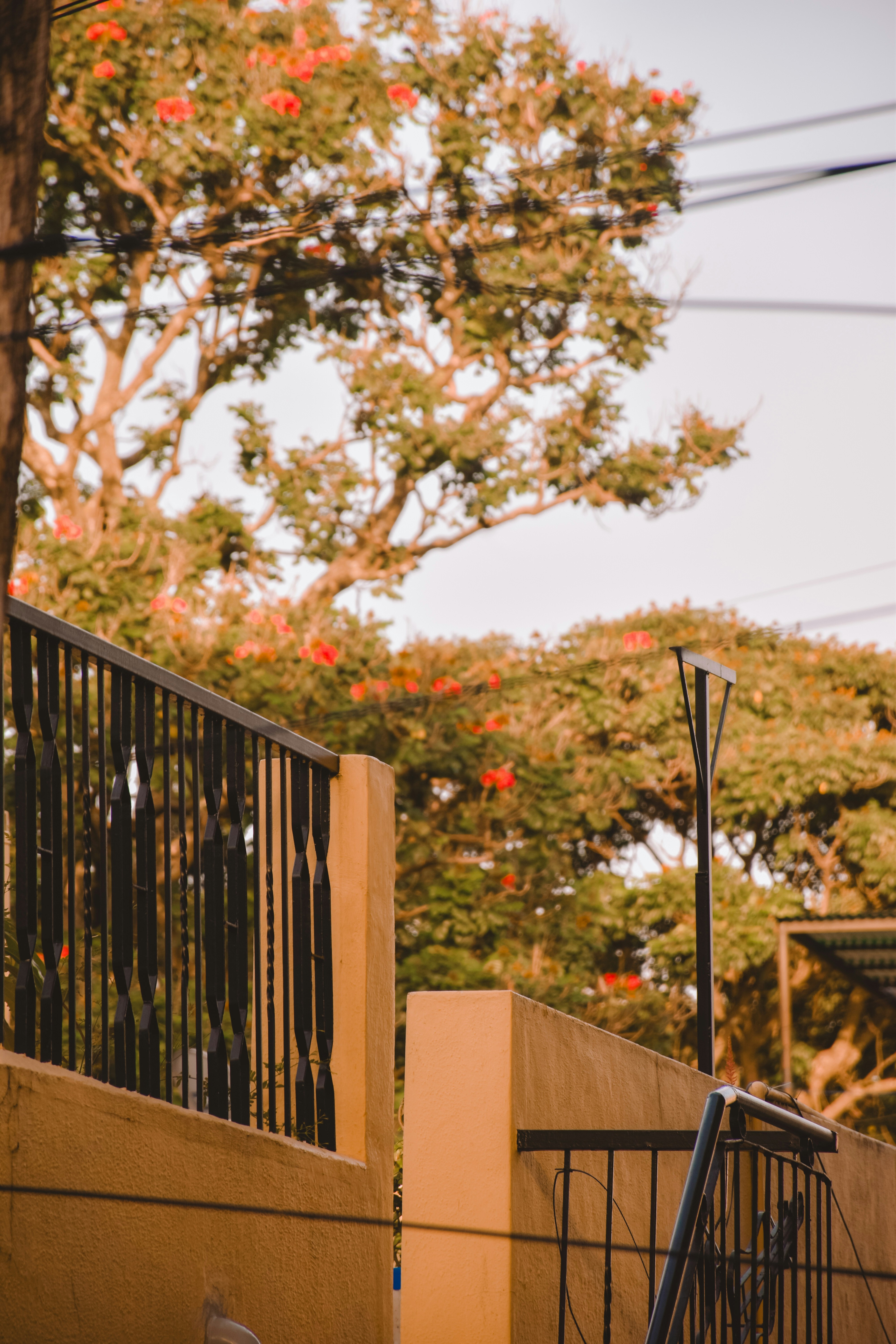 Photo by ranjanaphotography