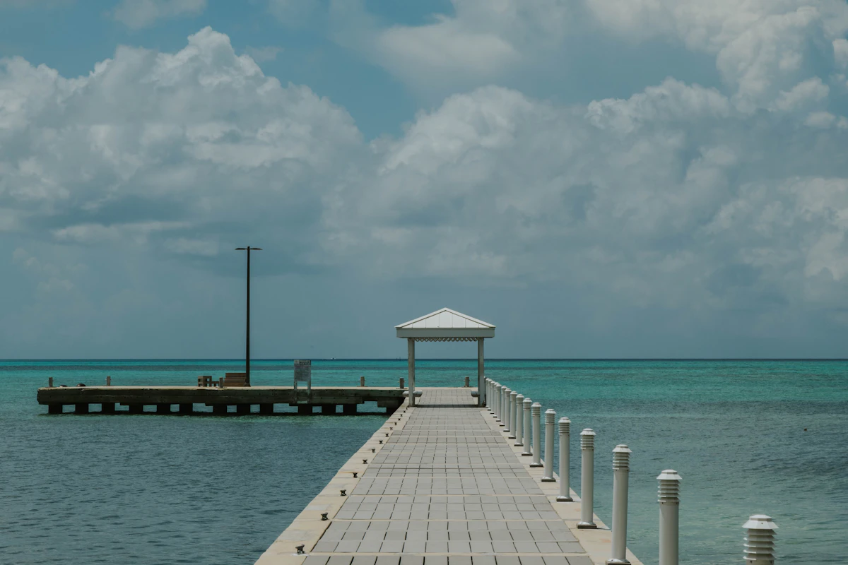 Bioluminescent Bay Tour