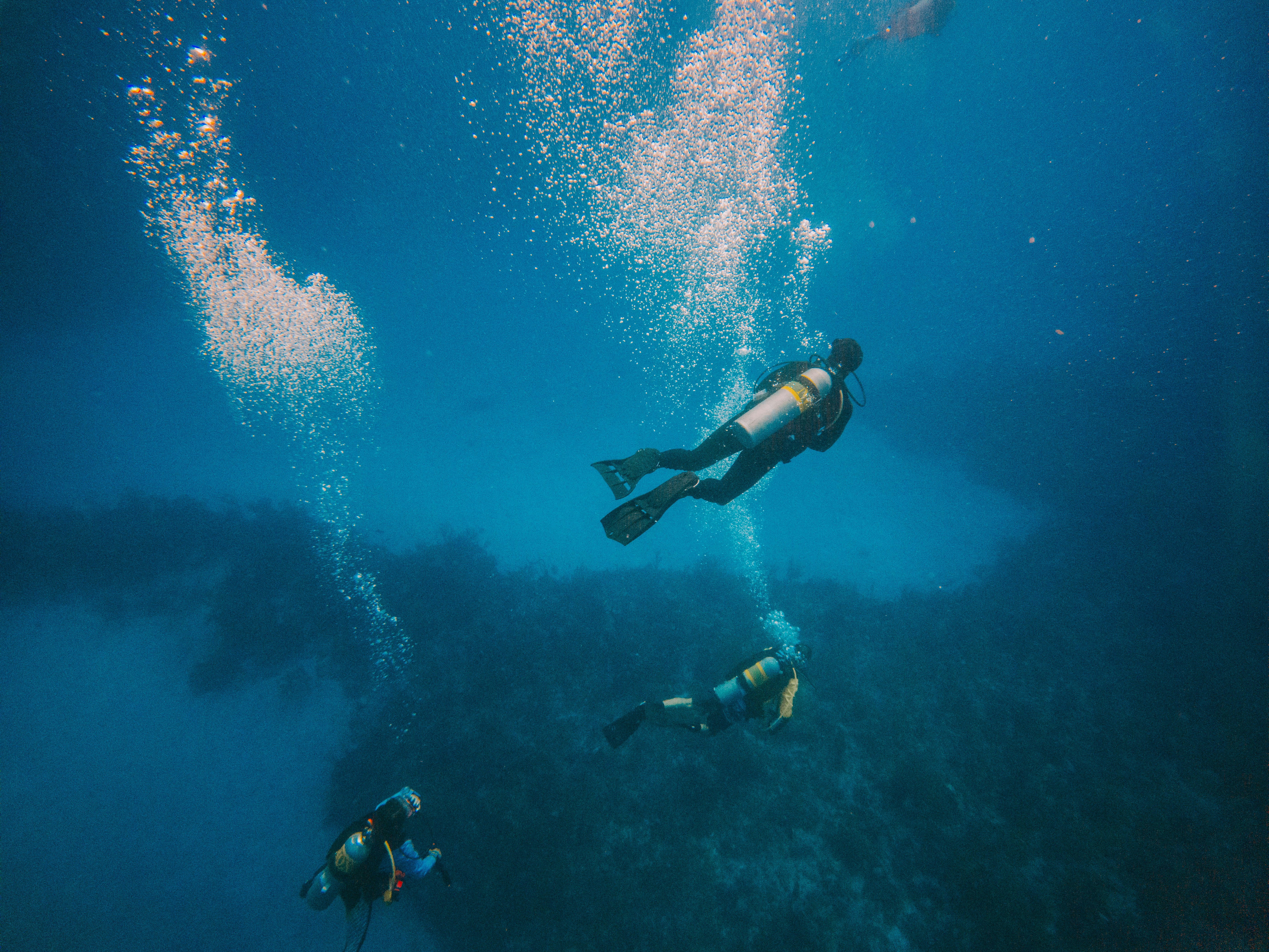 people scuba diving in ocean