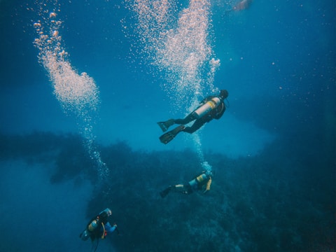 a couple of people that are in the water