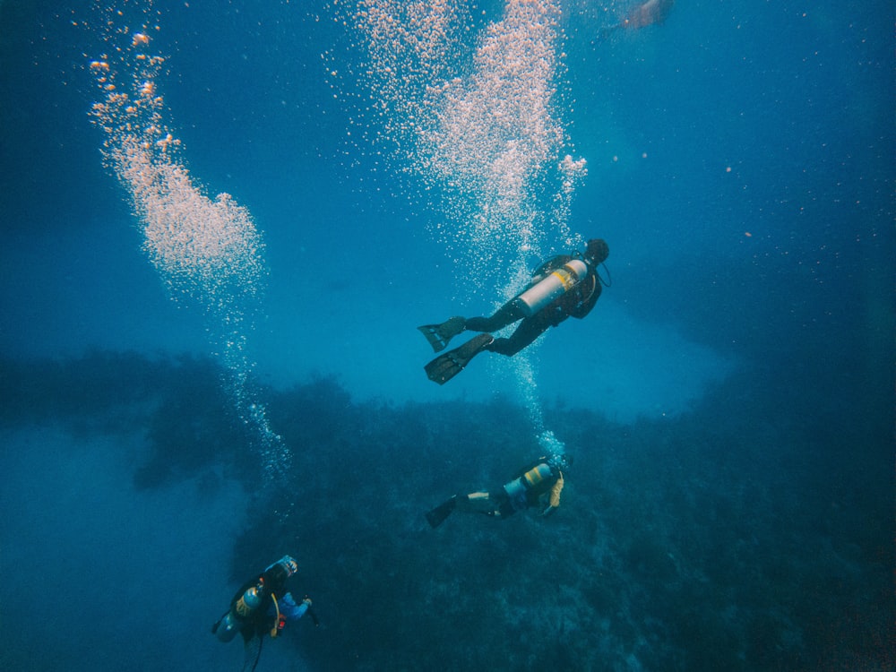 a couple of people that are in the water