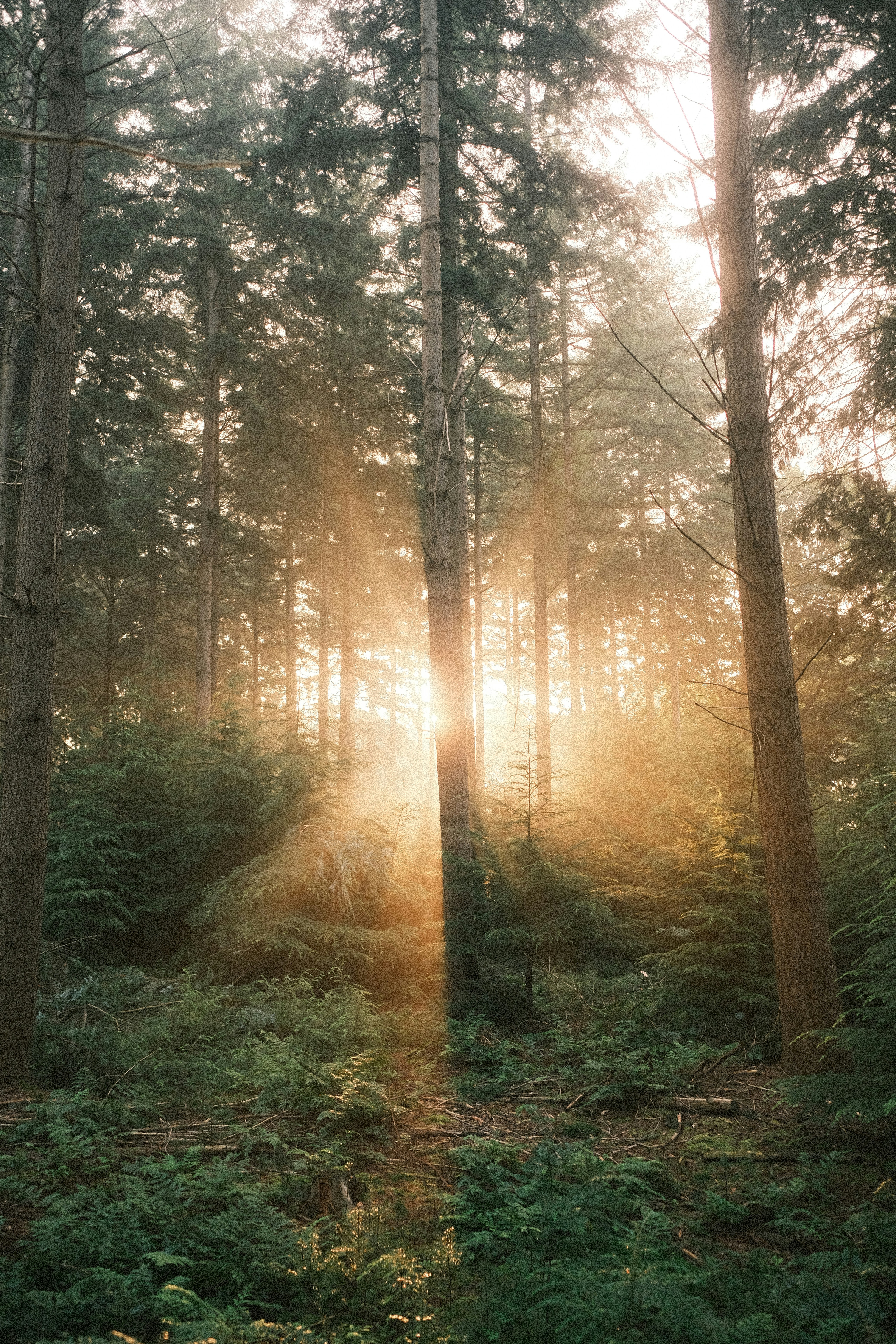 Photo by visualsbying