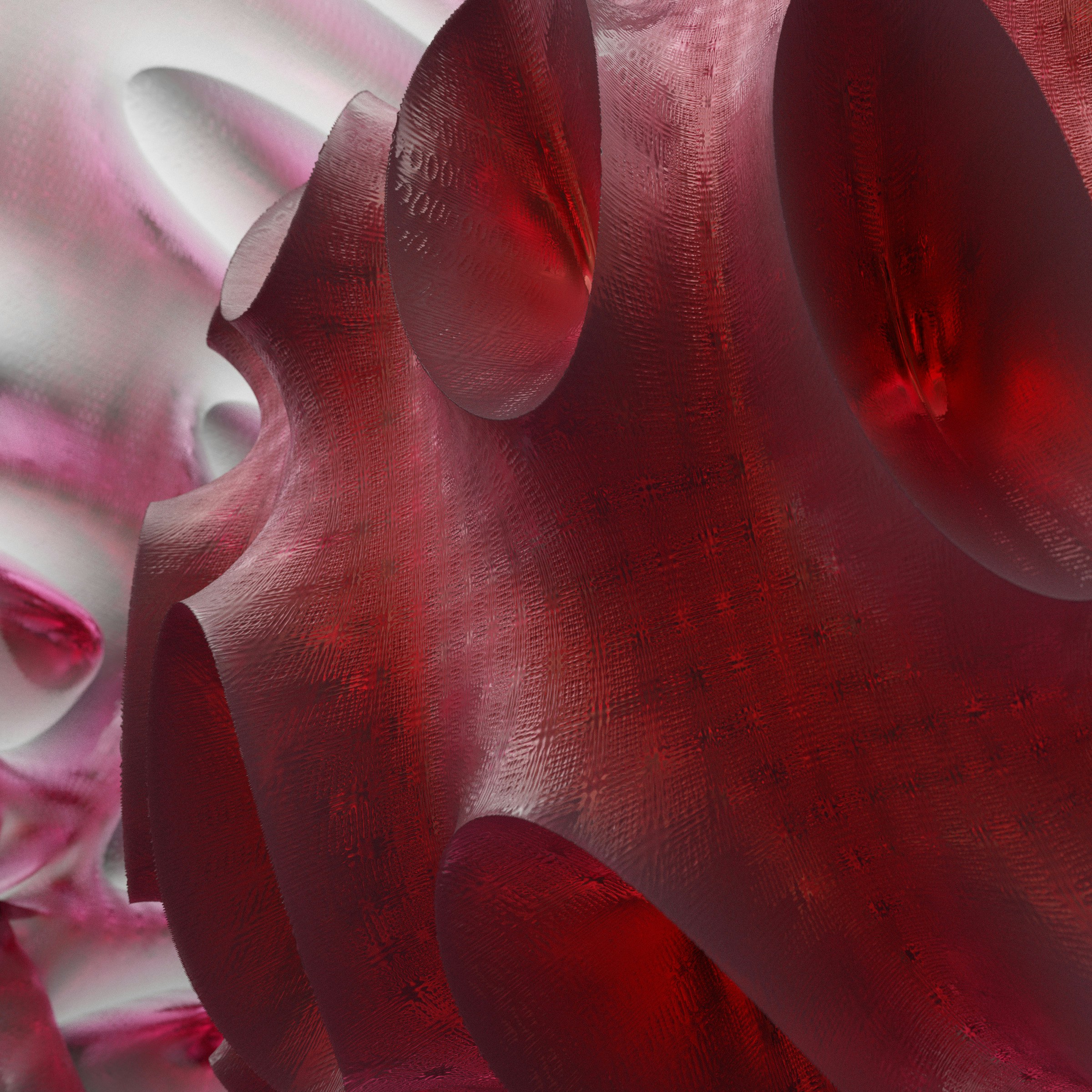 Photo by rick_rothenberg