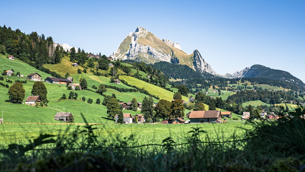 a lush green hillside with houses and mountains in the background