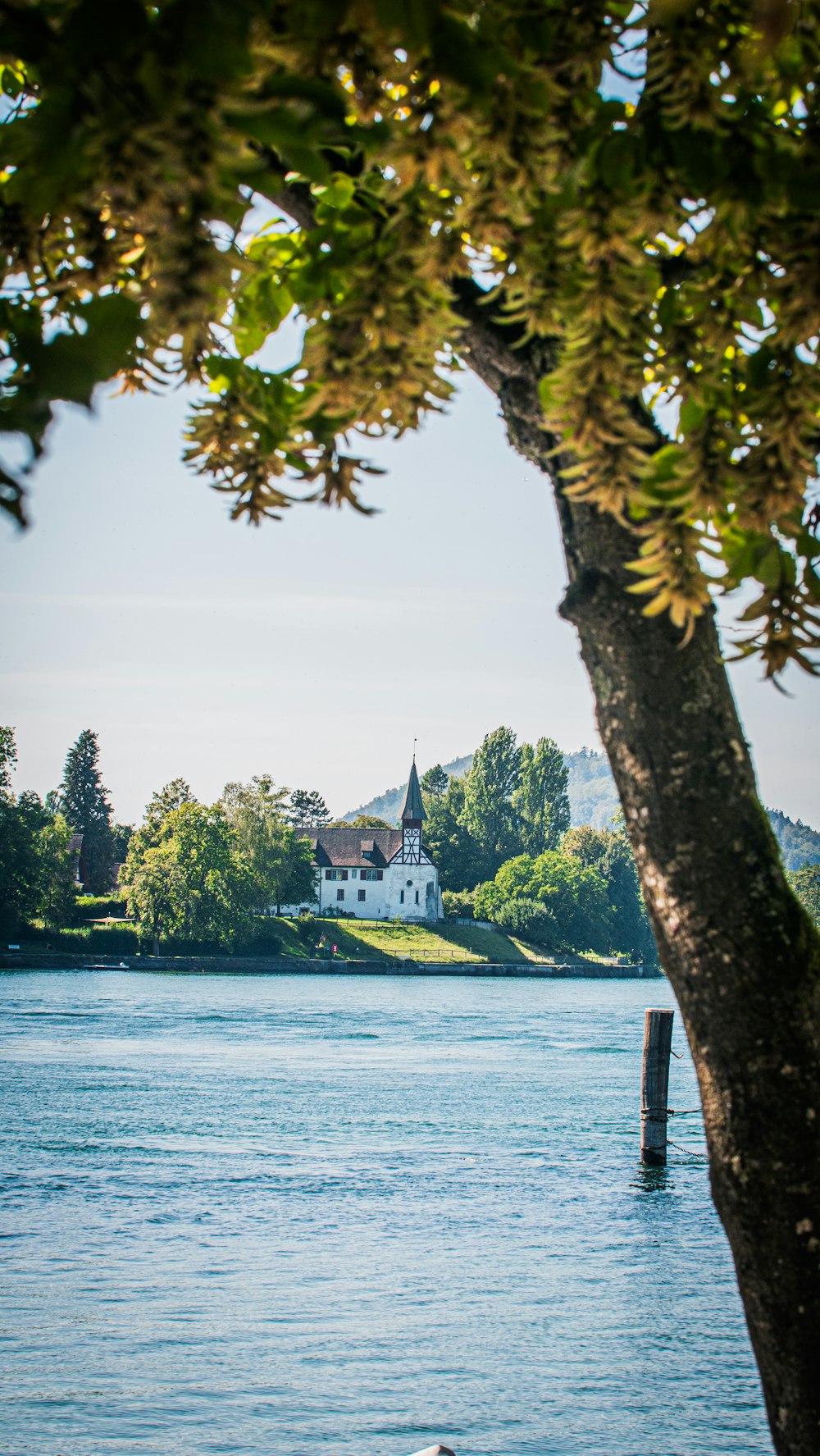 a boat floating on top of a lake next to a tree