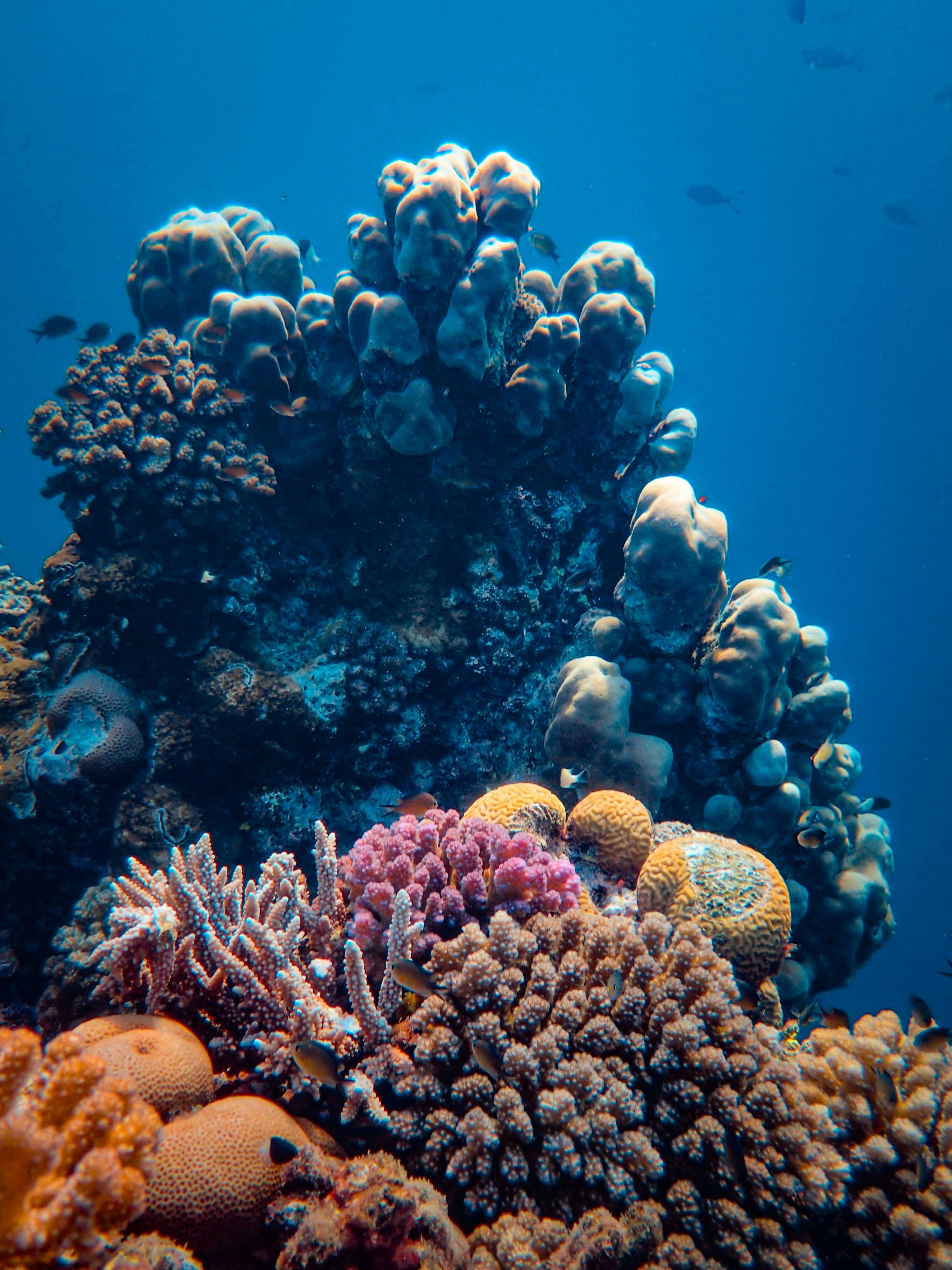 Photo by francesco_ungaro