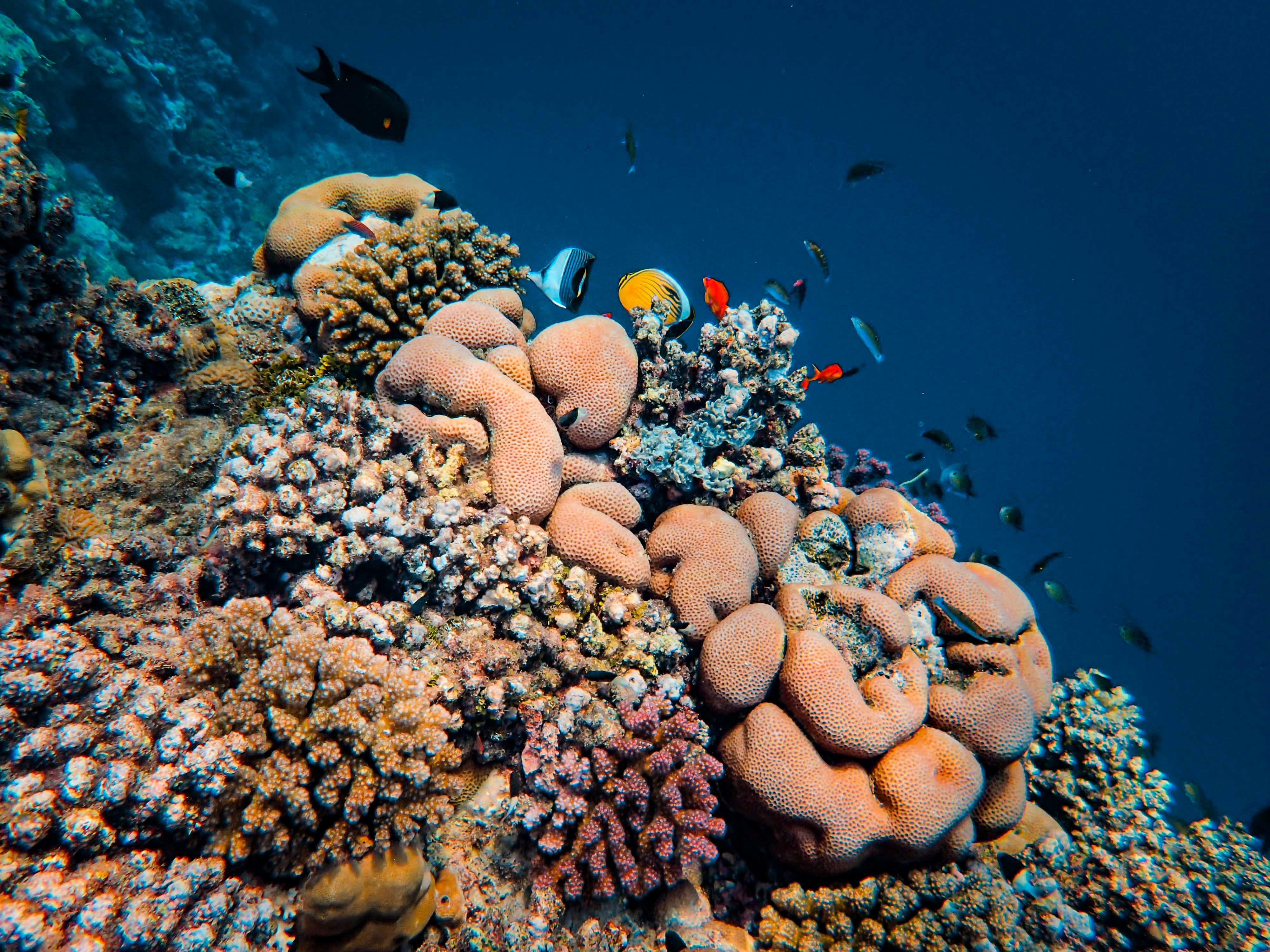 Photo by francesco_ungaro