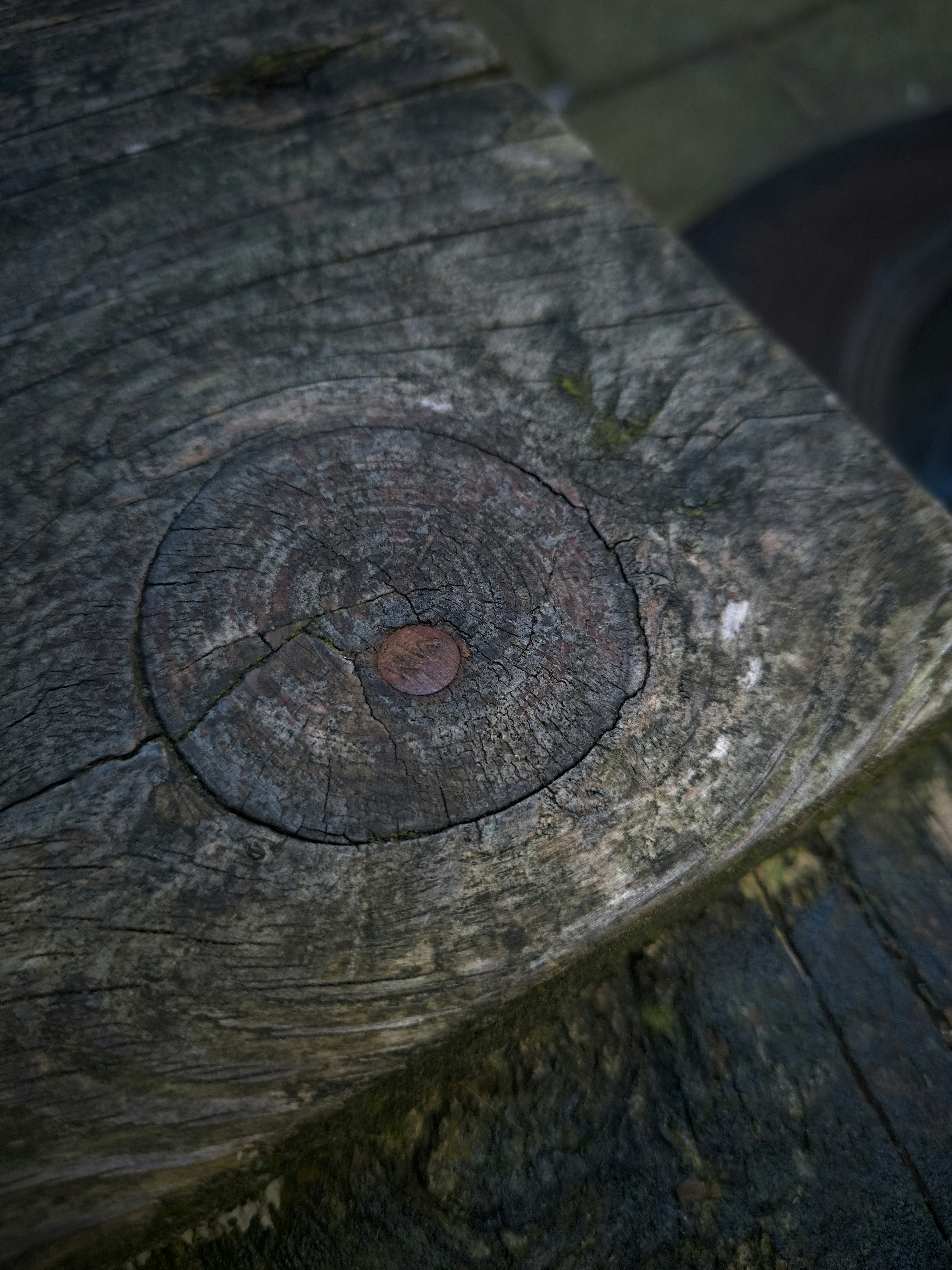 a close up of a piece of wood with a hole in it