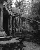 Ancient stone ruins with intricate carvings and overgrown plants in a forest setting, conveying a sense of mystery and history.