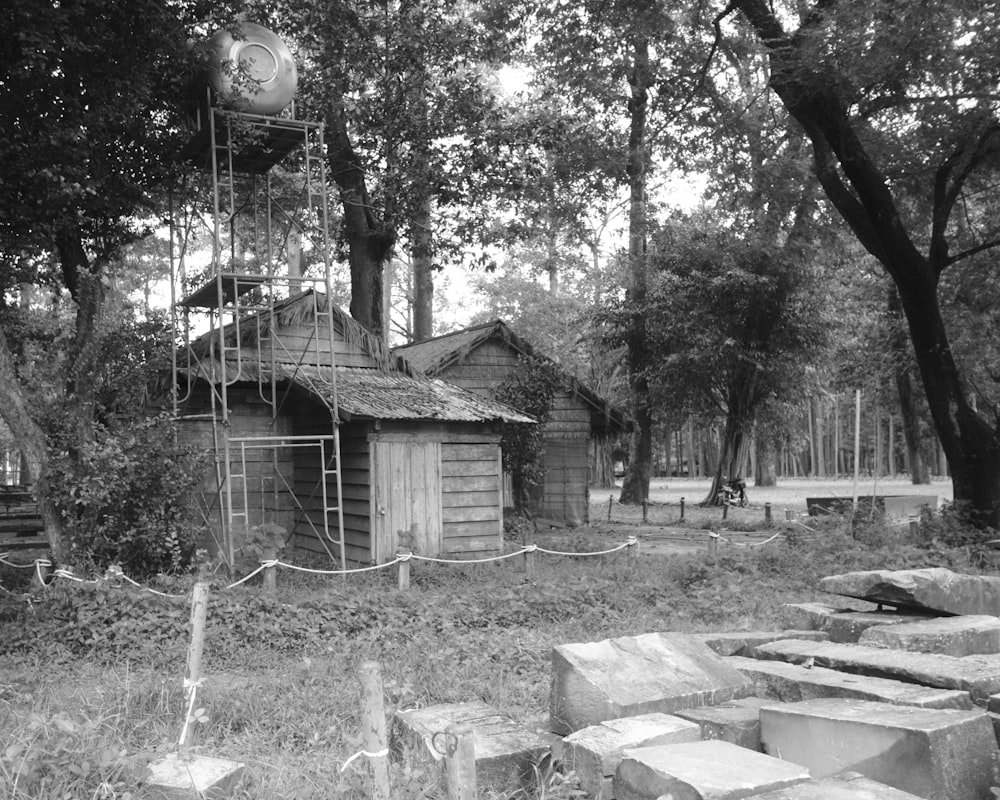 a black and white photo of a house in the woods