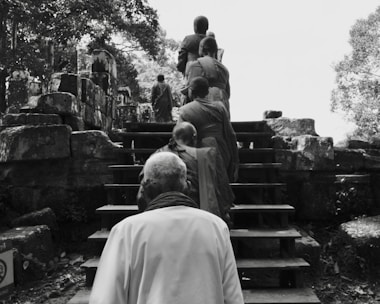 A group of individuals, some in robes, are ascending a set of stone stairs amidst ancient ruins surrounded by trees. The scene appears serene, with the forest setting and historical stones creating a sense of timelessness.