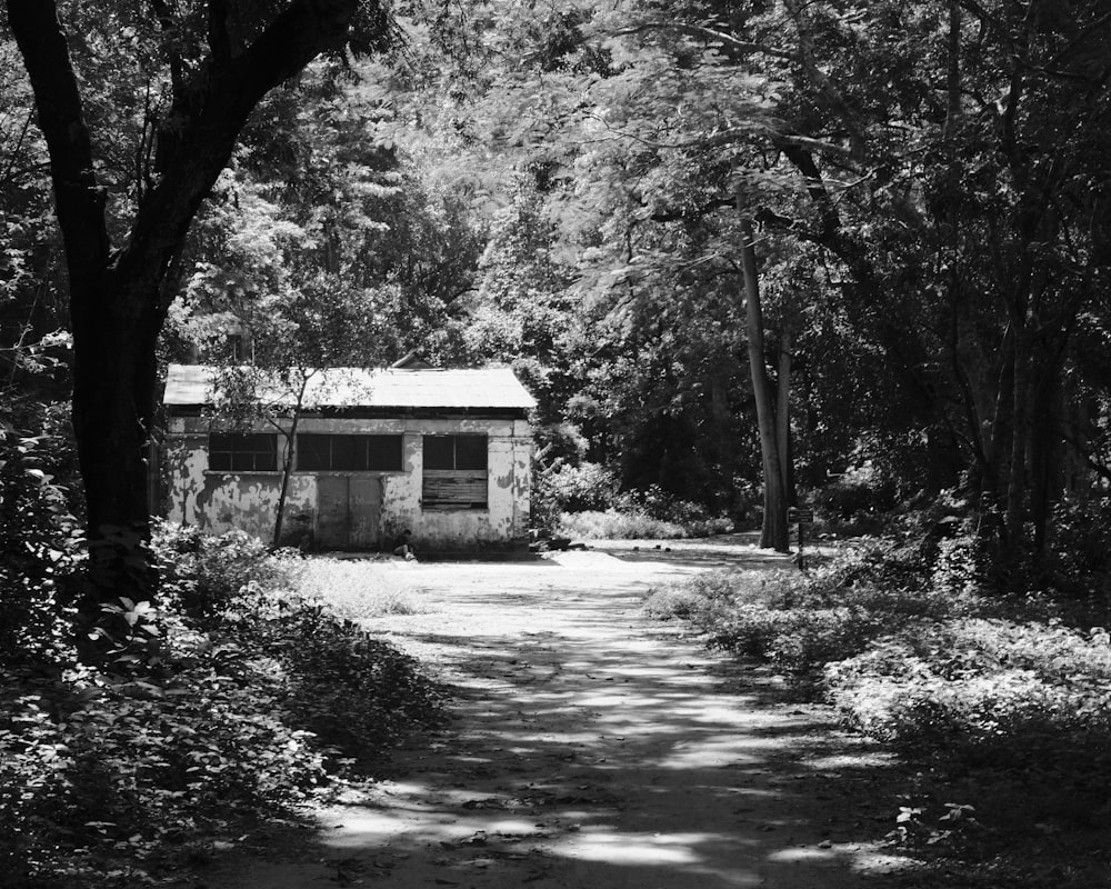 a black and white photo of a house in the woods