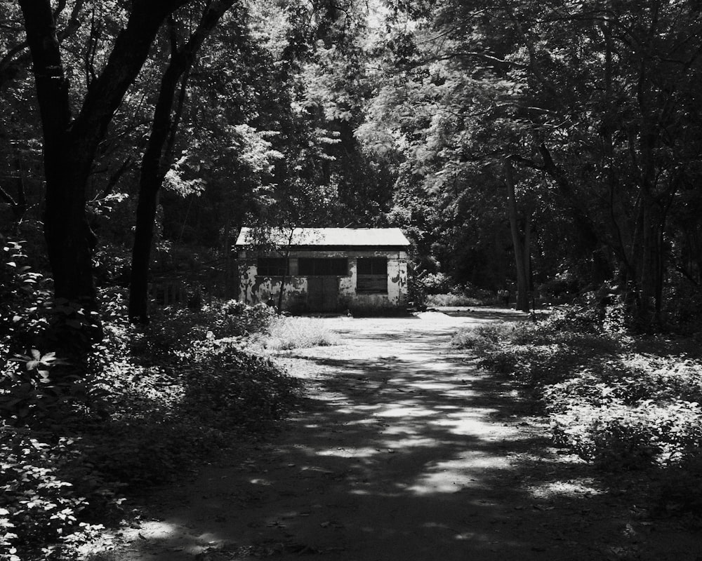 a black and white photo of a house in the woods