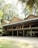 A traditional wooden building with a raised platform supported by wooden pillars stands amidst a lush green environment. The structure is adorned with multiple colorful flags and surrounded by tall trees, creating a serene and natural setting.