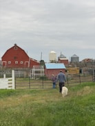 Visitors enjoying a guided tour of the farm.