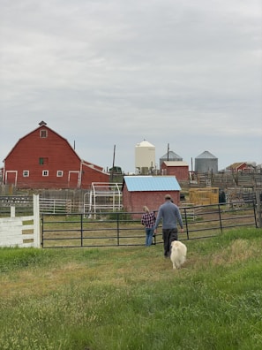 A rural scene featuring a man and woman walking towards a fenced area on a farm, accompanied by a dog. They are surrounded by lush green grass and various farm buildings, including red barns and silos.