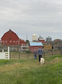 A rural scene featuring a man and woman walking towards a fenced area on a farm, accompanied by a dog. They are surrounded by lush green grass and various farm buildings, including red barns and silos.