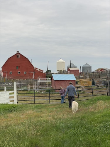 A rural scene featuring a man and woman walking towards a fenced area on a farm, accompanied by a dog. They are surrounded by lush green grass and various farm buildings, including red barns and silos.