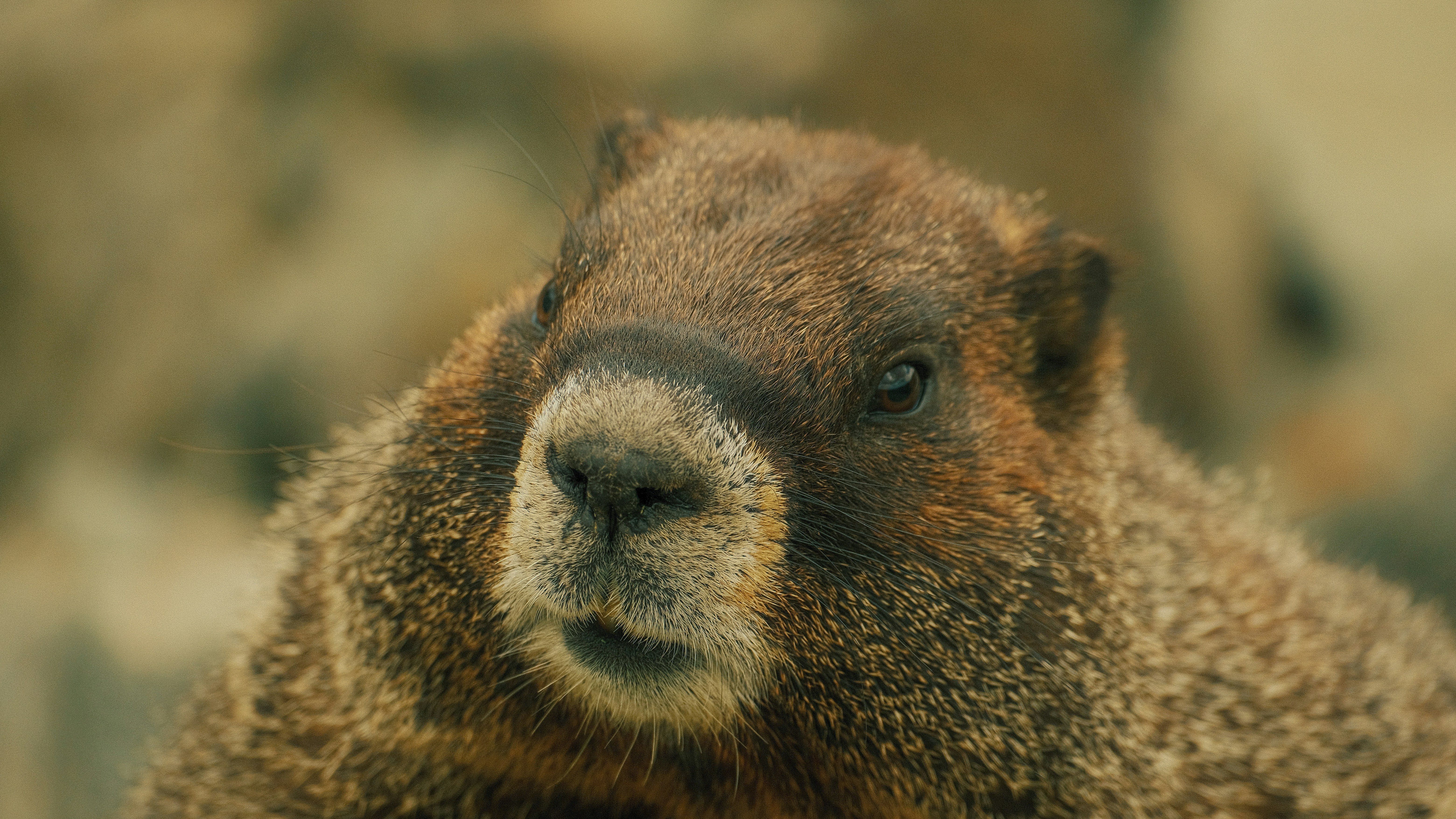 Photo by maxmeadowcroft