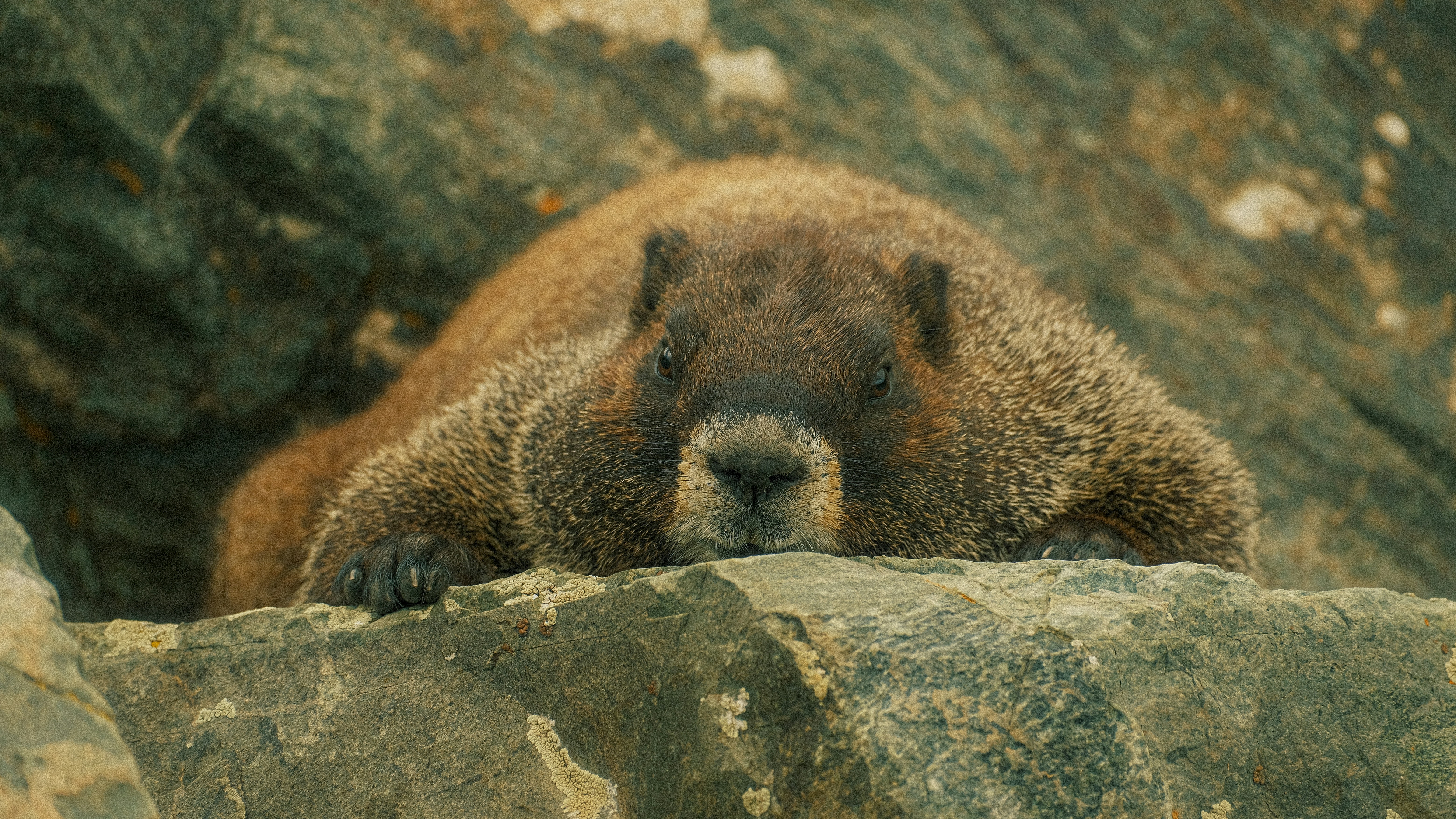 Photo by maxmeadowcroft