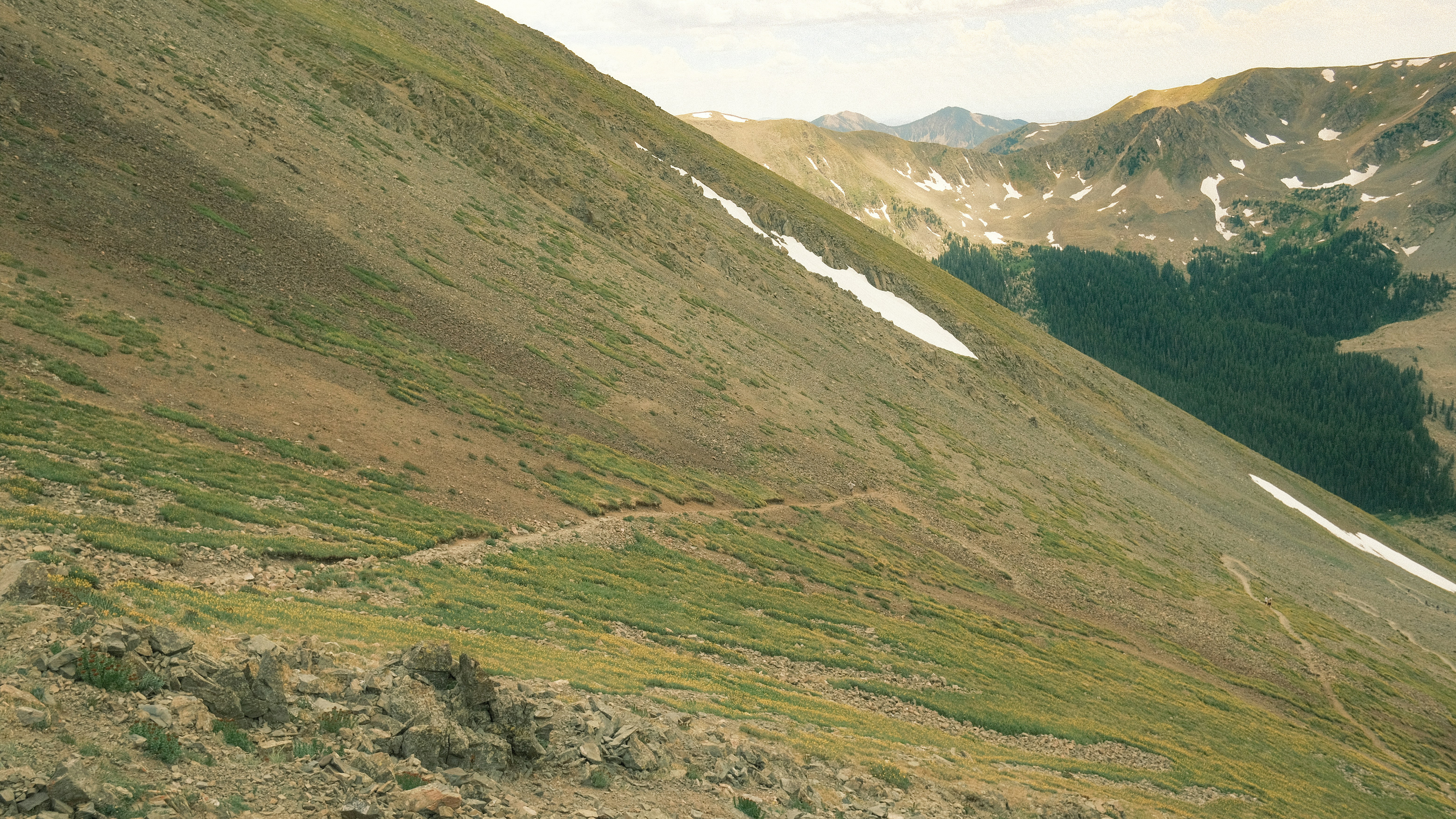 Photo by maxmeadowcroft