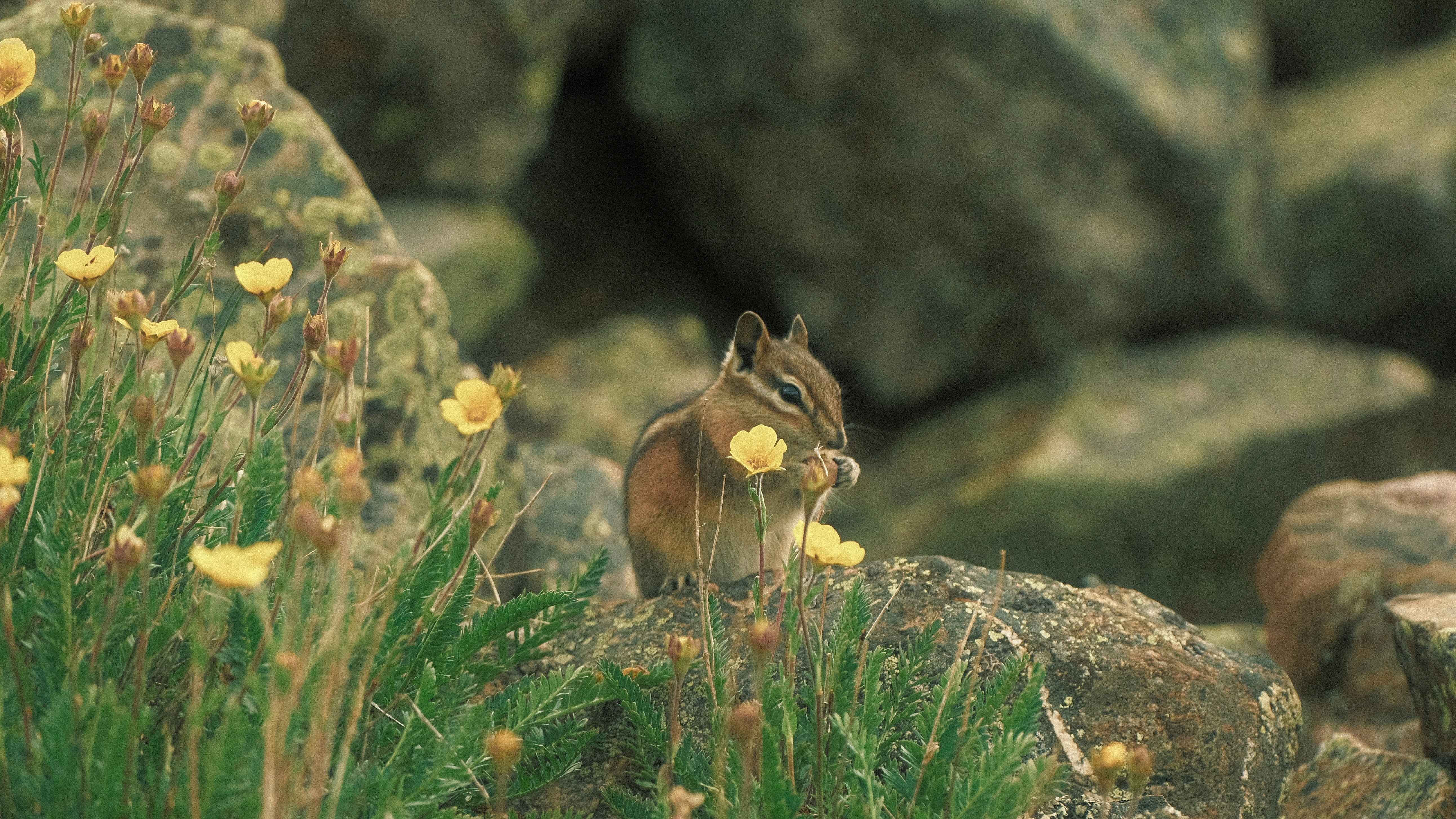 Photo by maxmeadowcroft