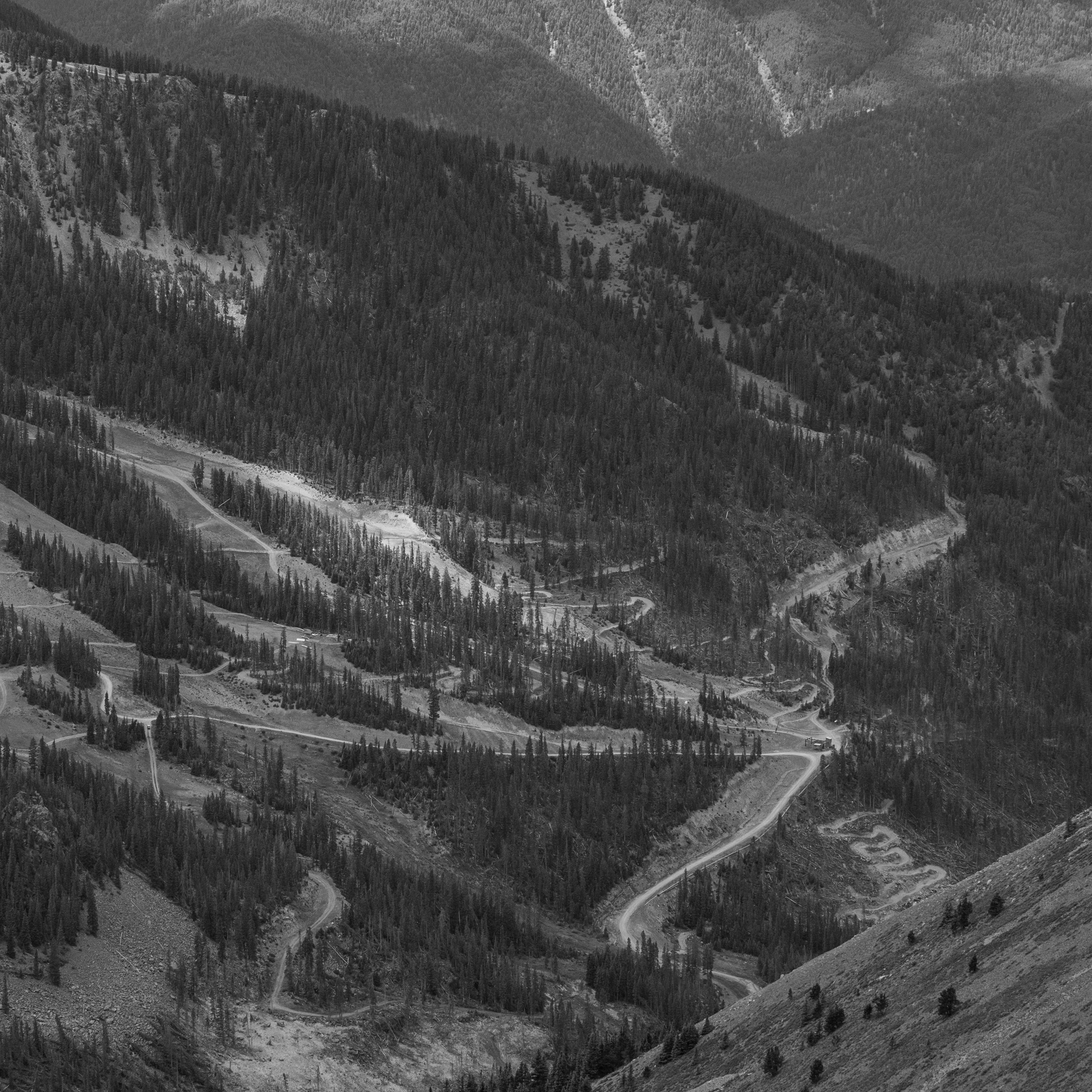 Photo by maxmeadowcroft