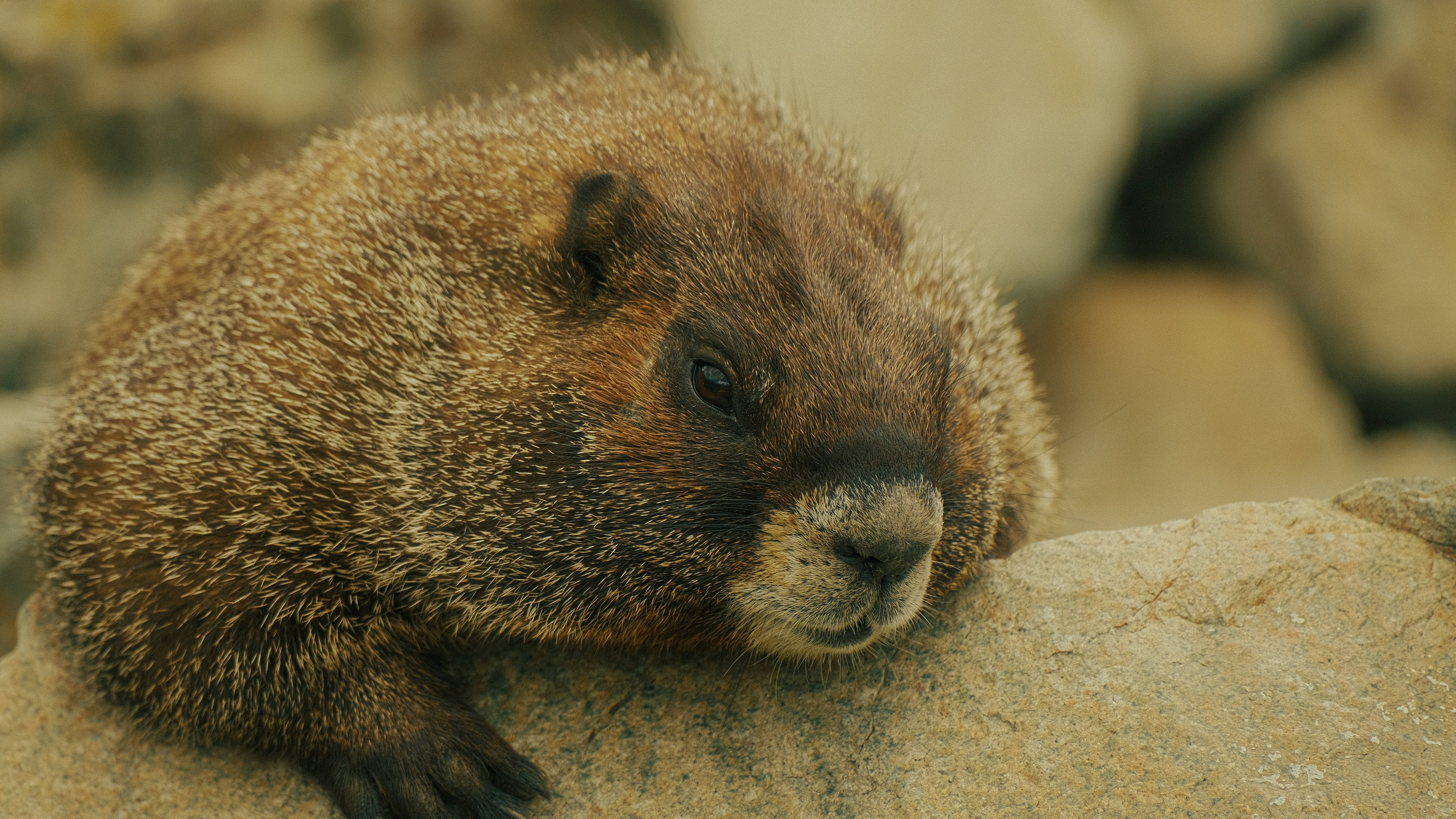 Photo by maxmeadowcroft