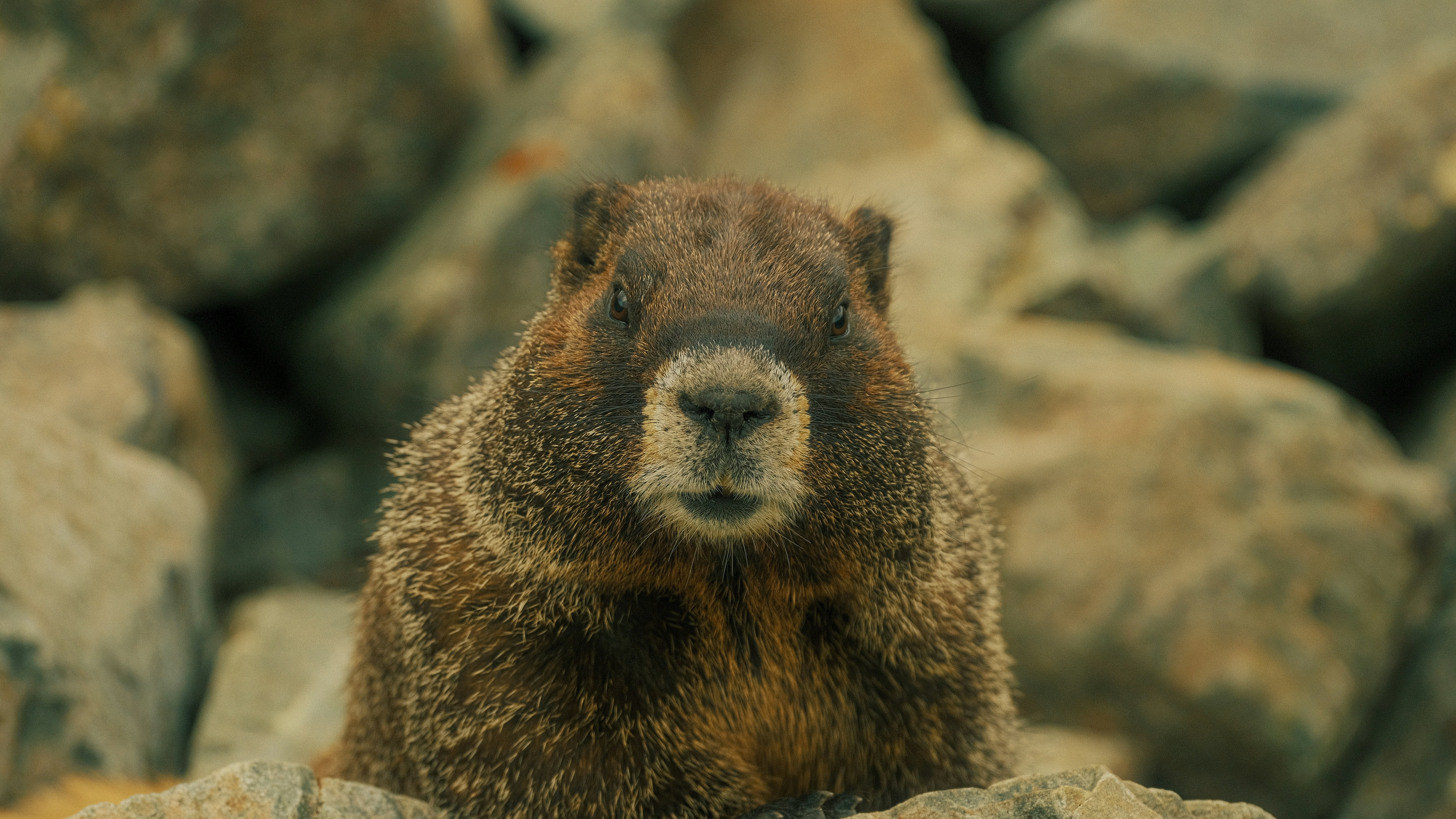 Photo by maxmeadowcroft