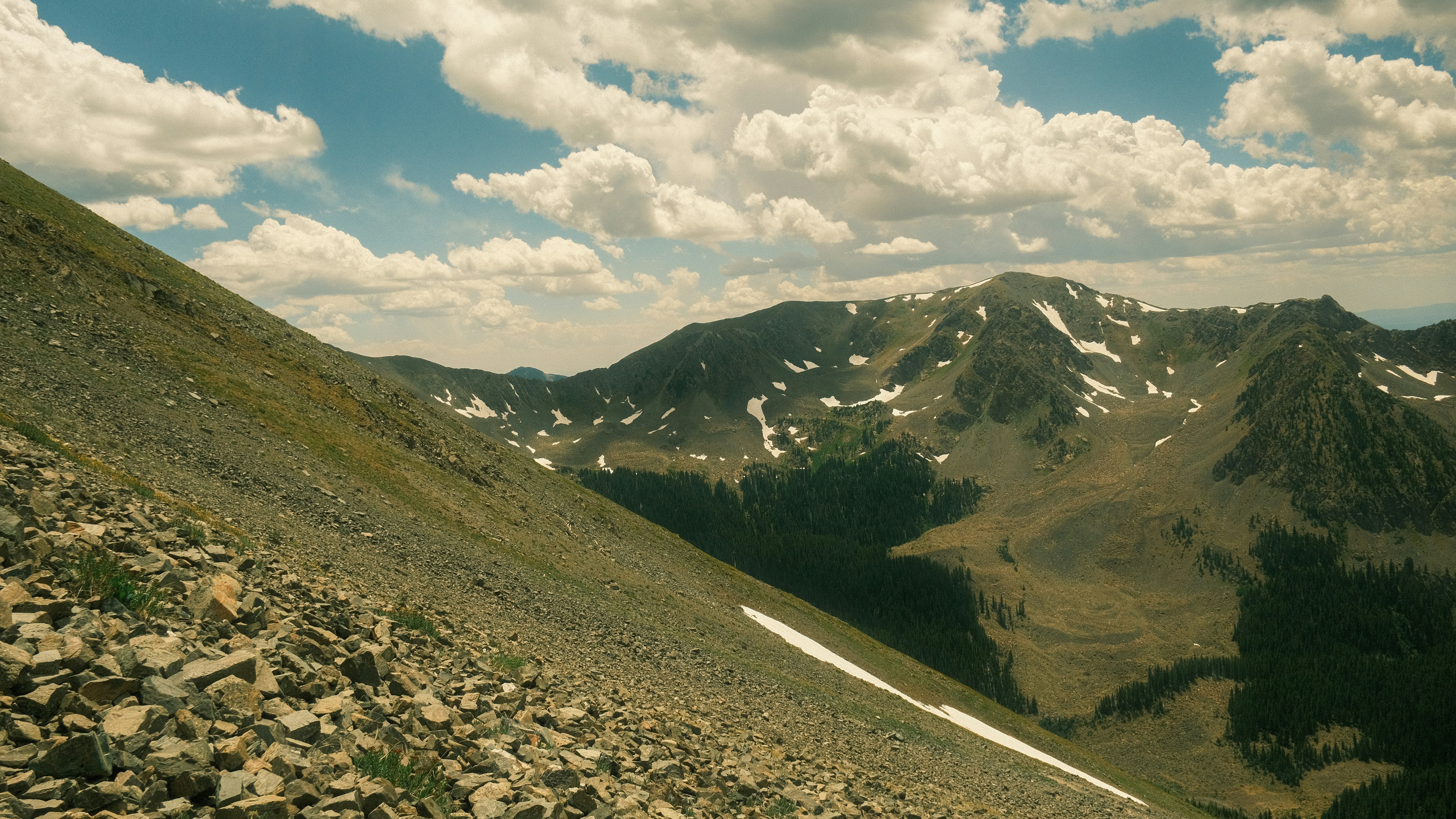 Photo by maxmeadowcroft