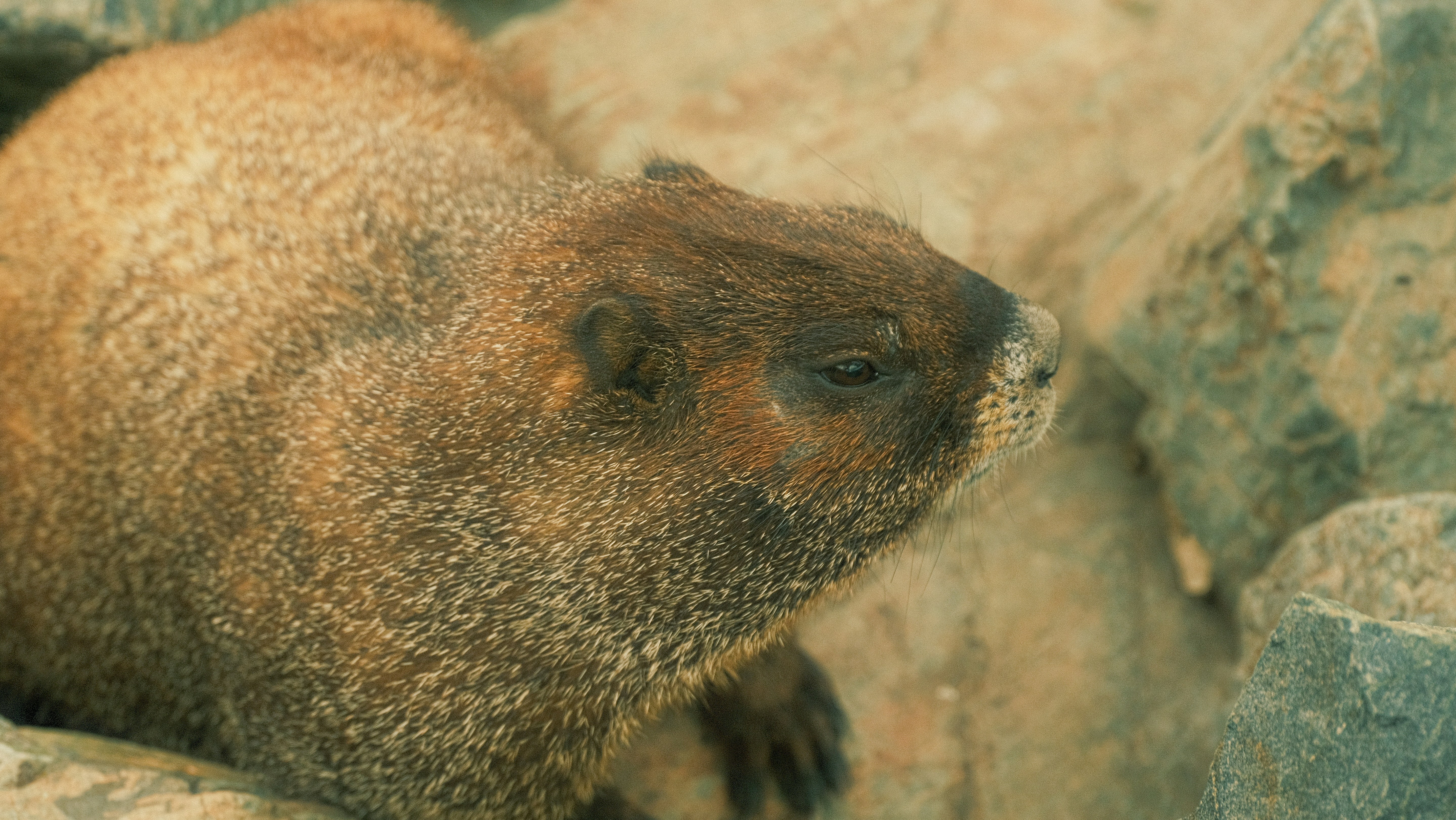 Photo by maxmeadowcroft