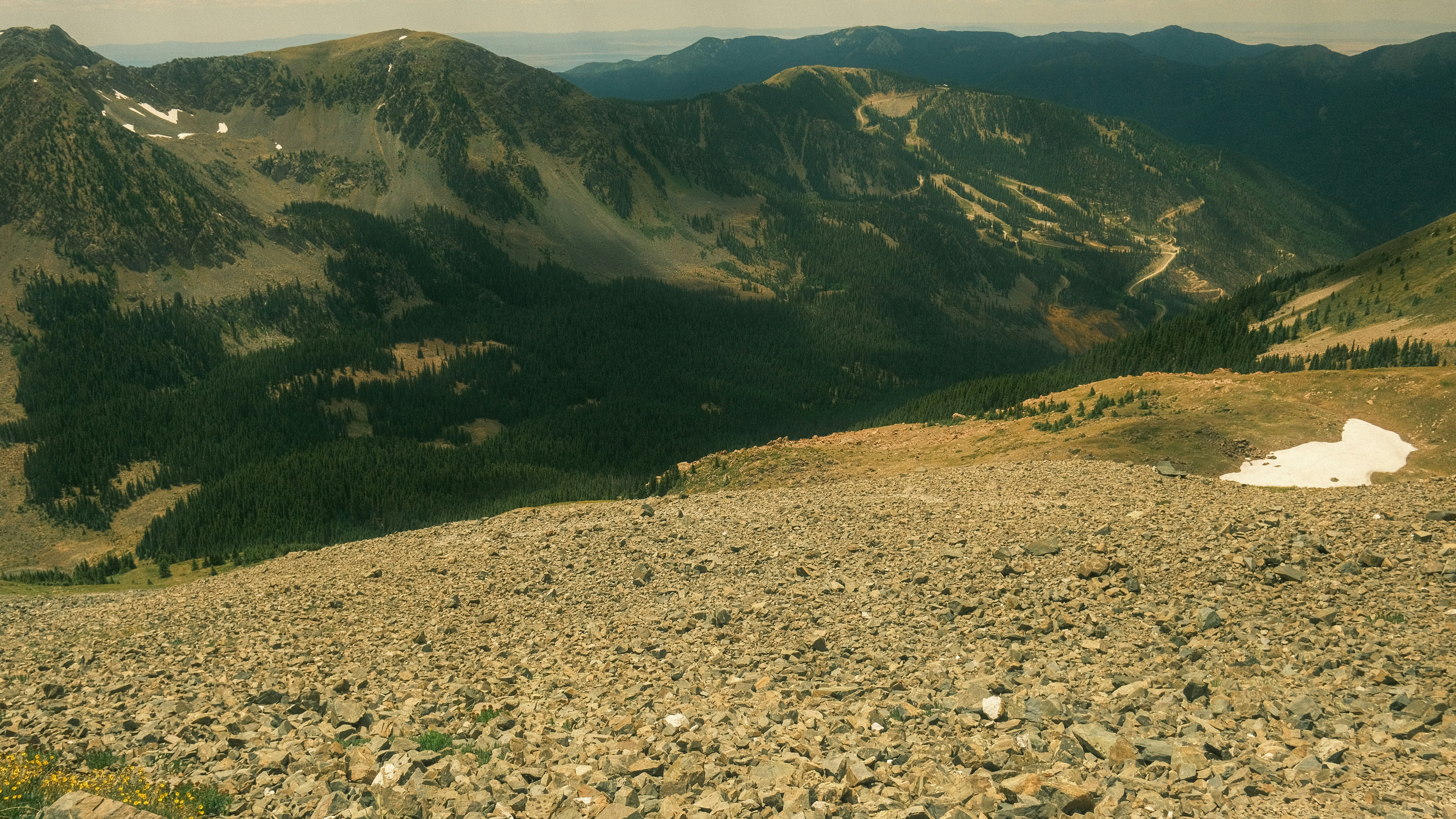 Photo by maxmeadowcroft