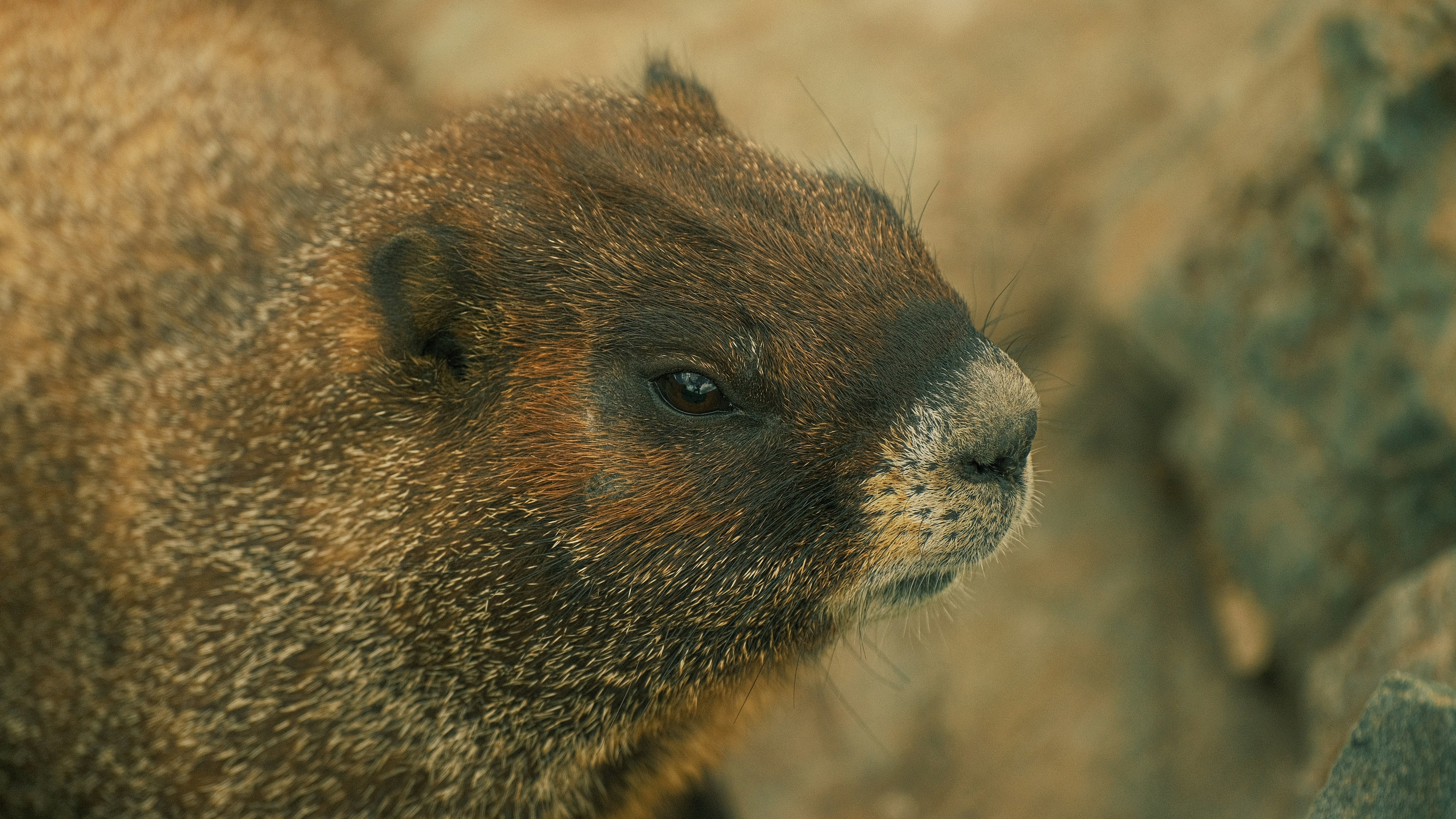 Photo by maxmeadowcroft