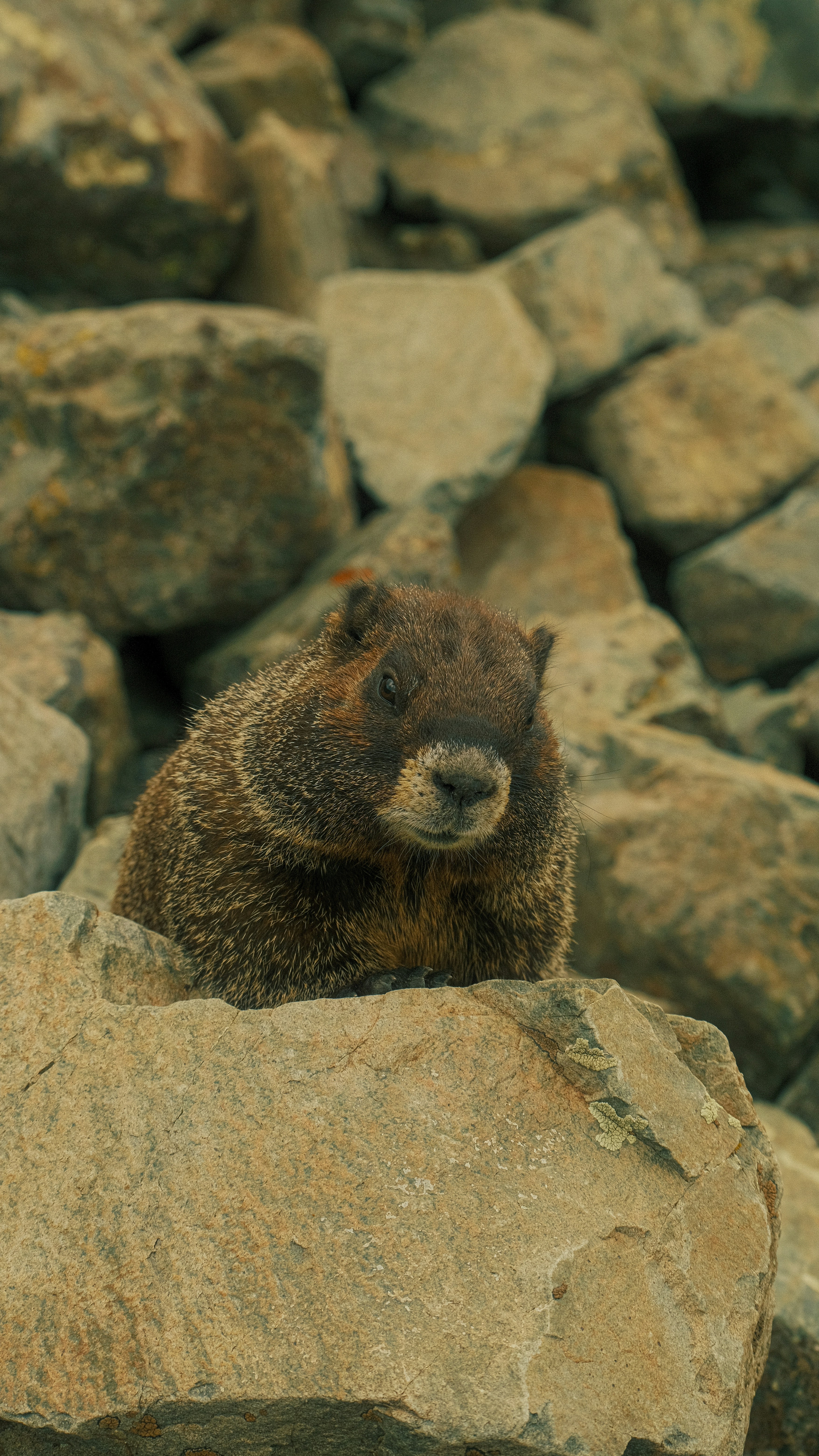 Photo by maxmeadowcroft