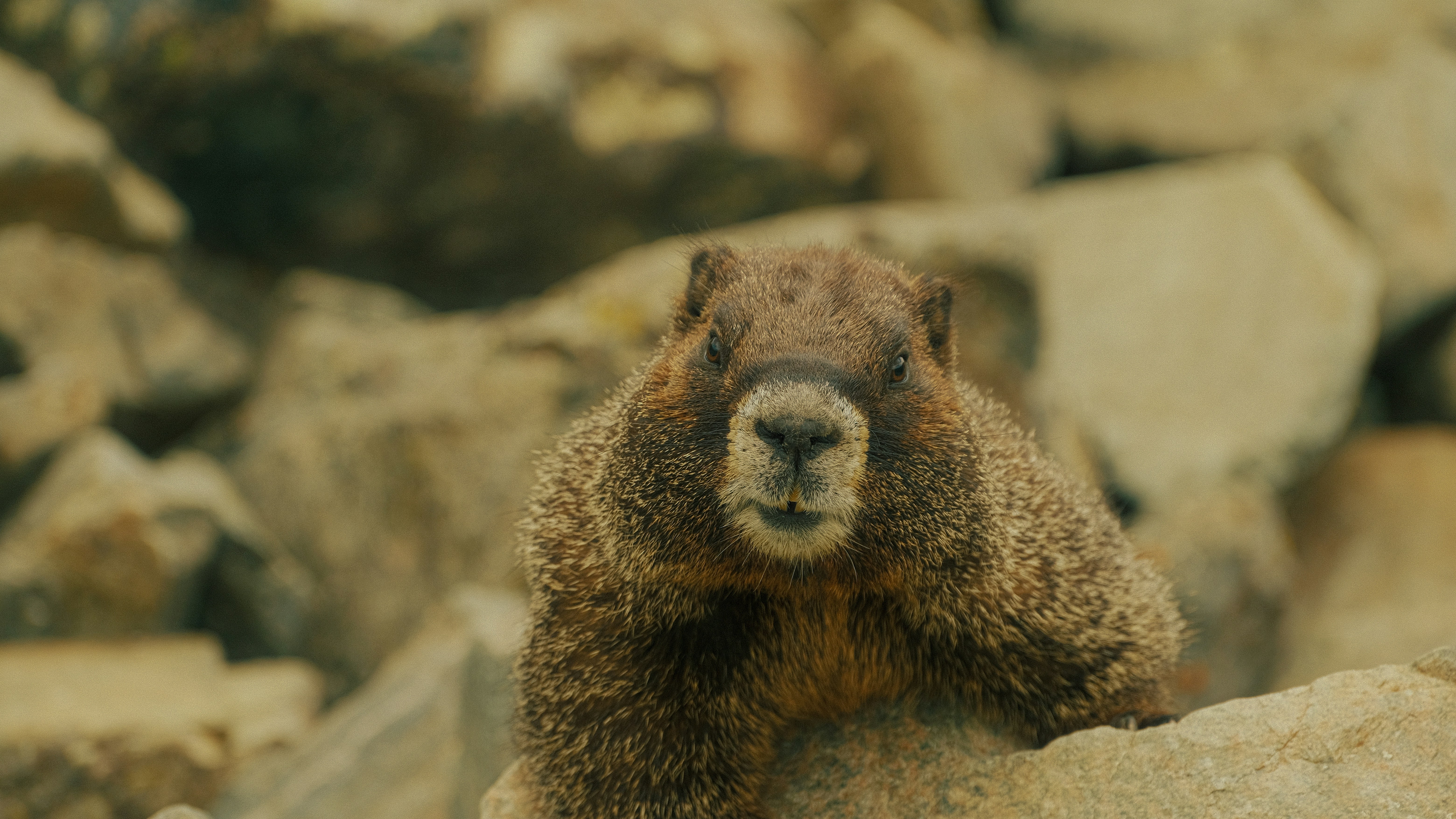 Photo by maxmeadowcroft