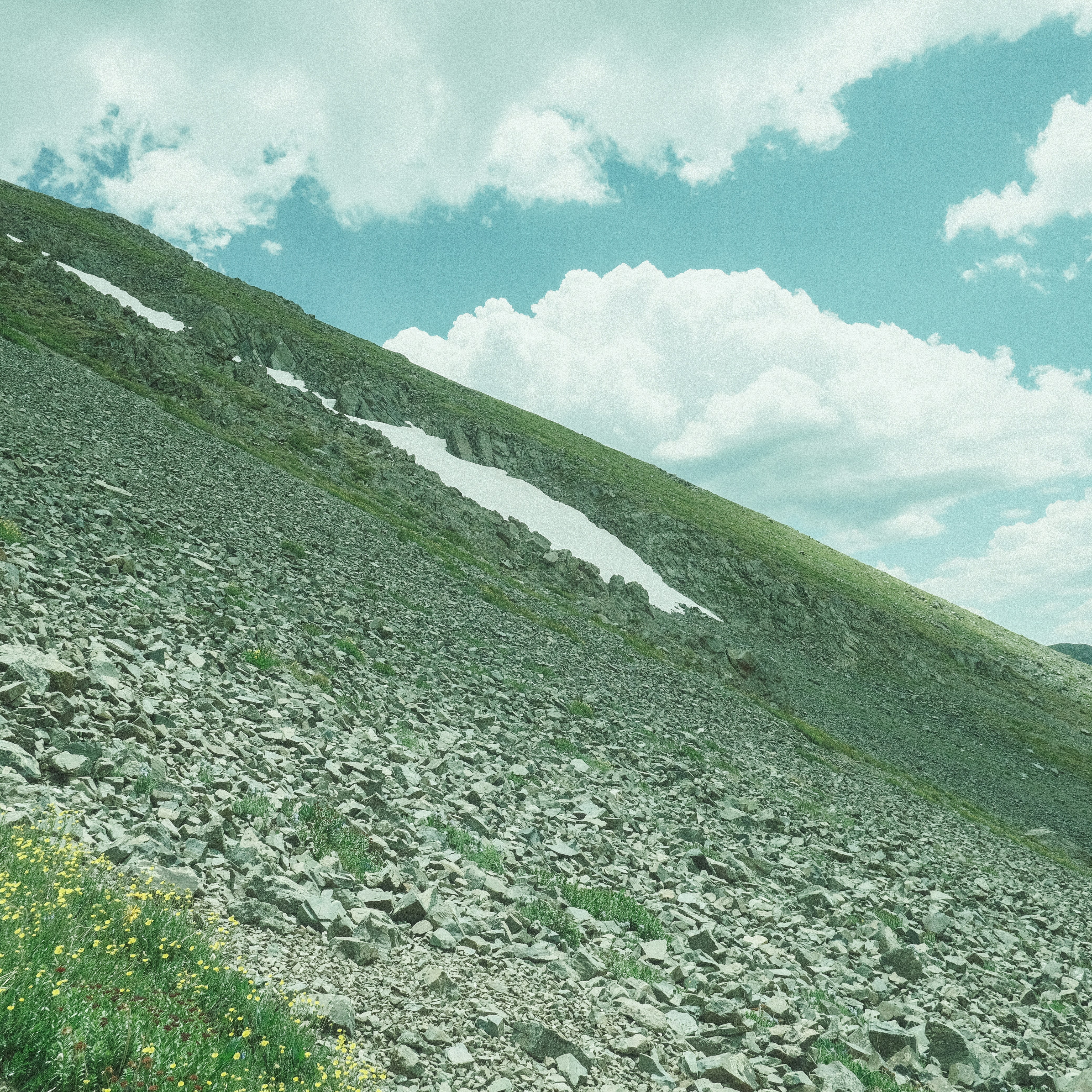 Photo by maxmeadowcroft