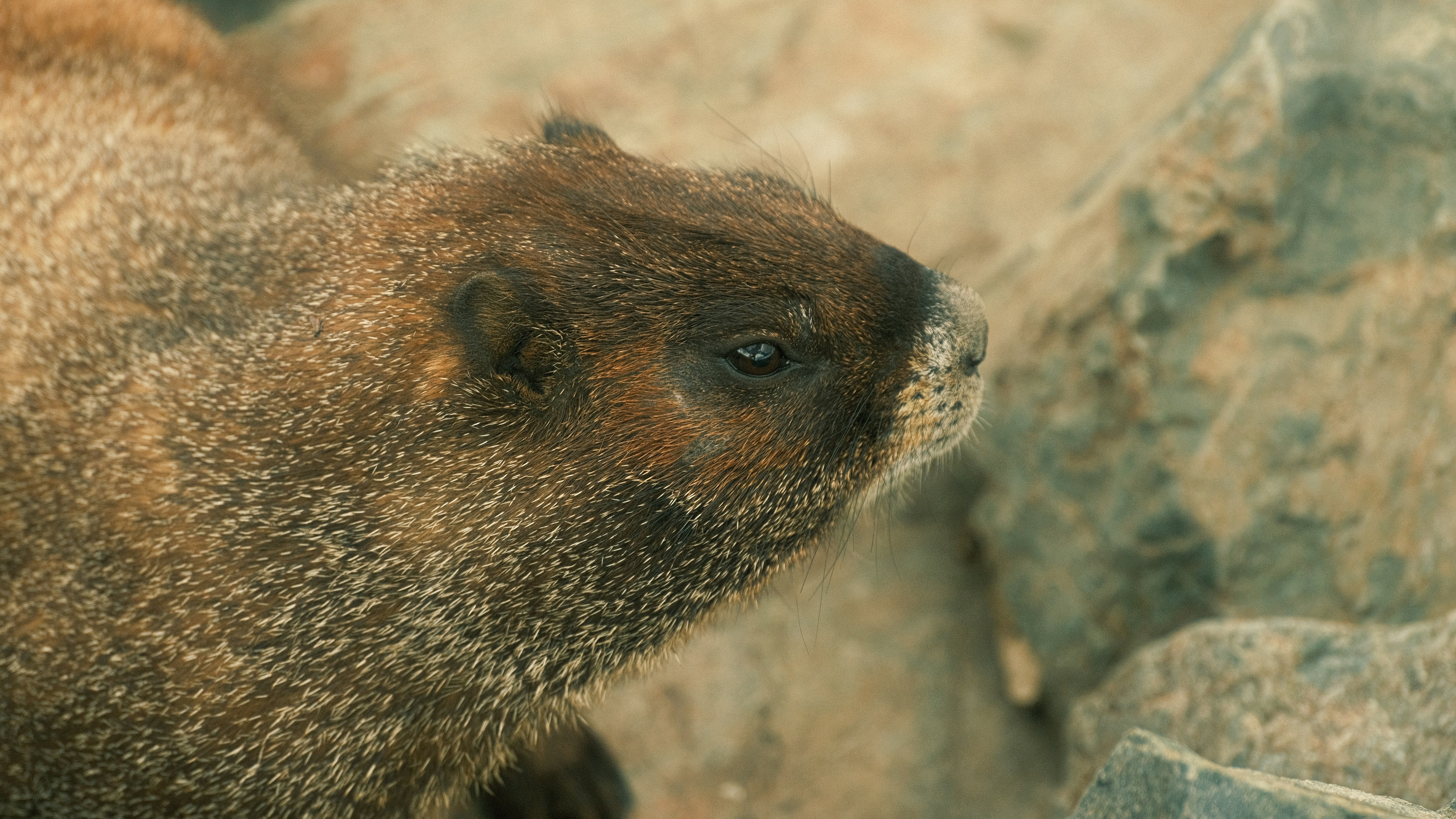 Photo by maxmeadowcroft