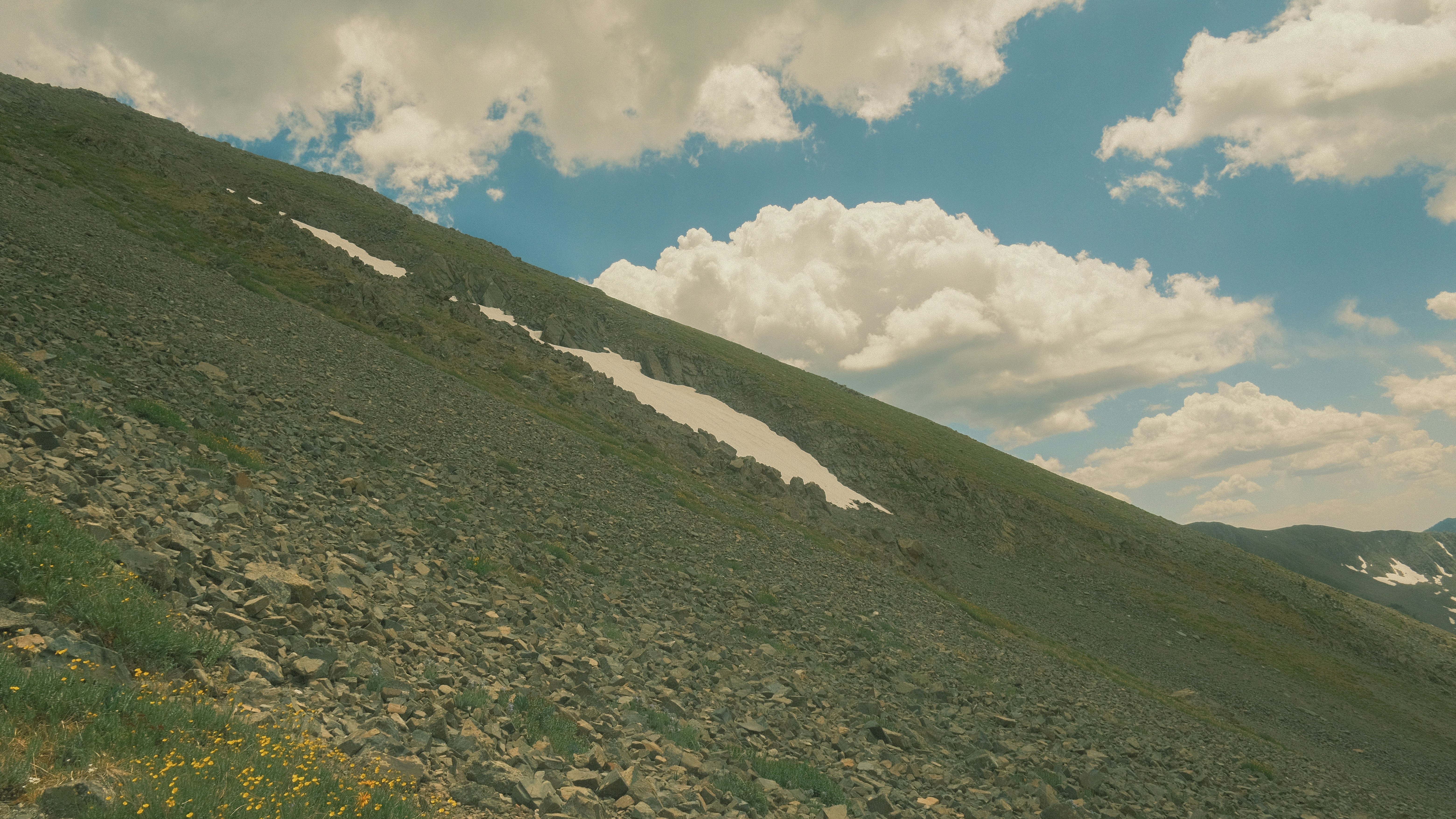 Photo by maxmeadowcroft