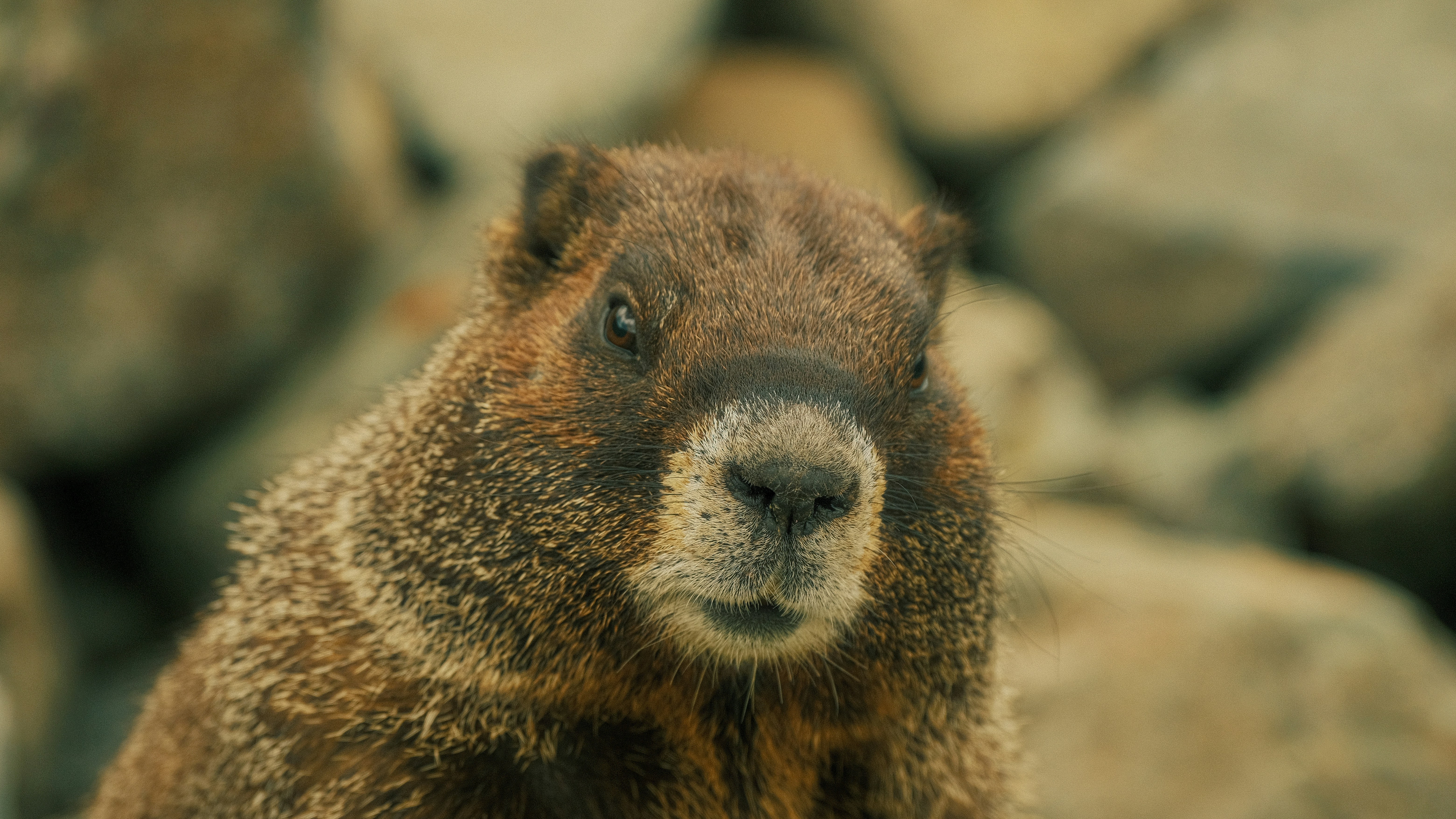 Photo by maxmeadowcroft