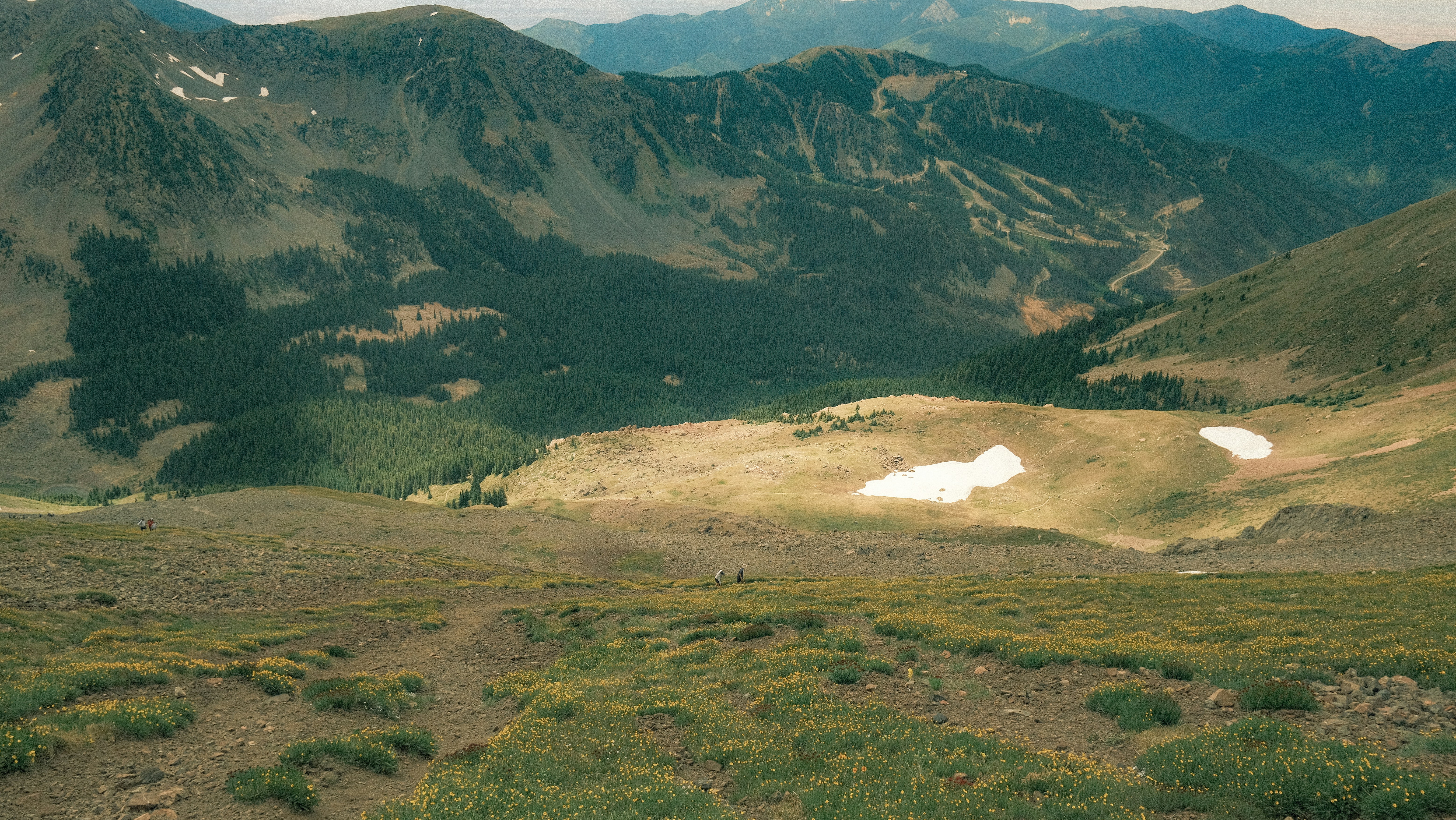 Photo by maxmeadowcroft