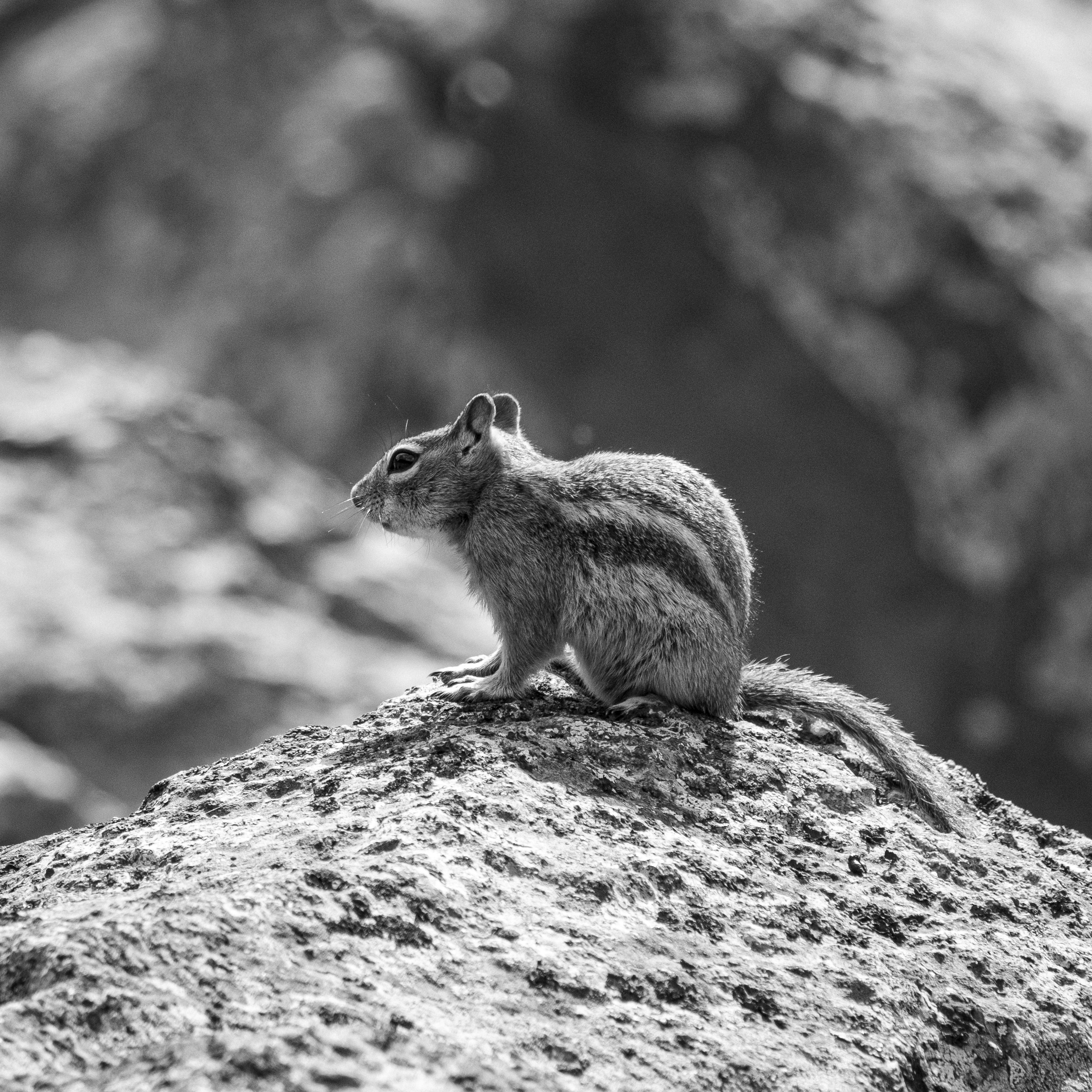 Photo by maxmeadowcroft