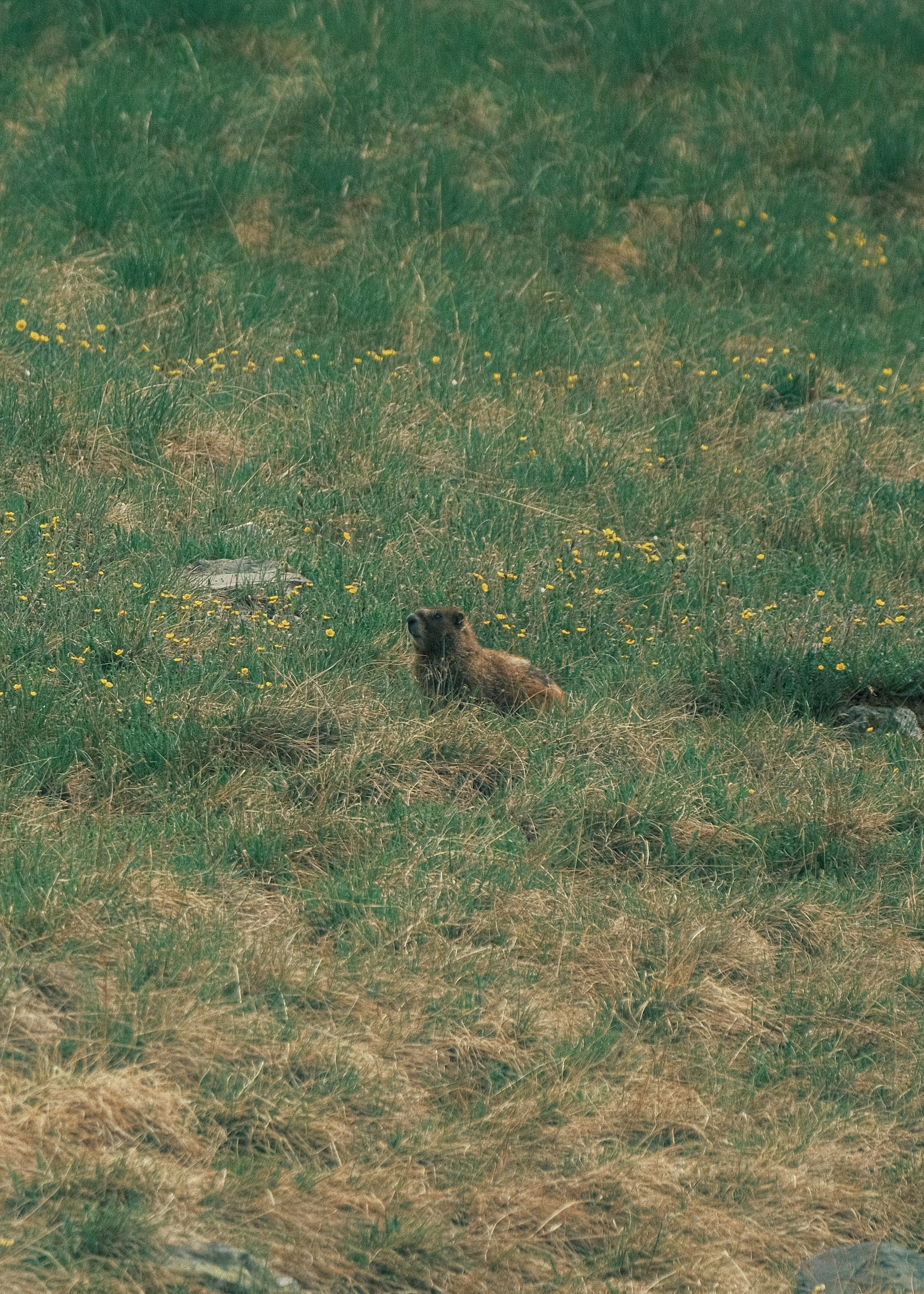 What is NM in Aviation? (Nautical Mile)