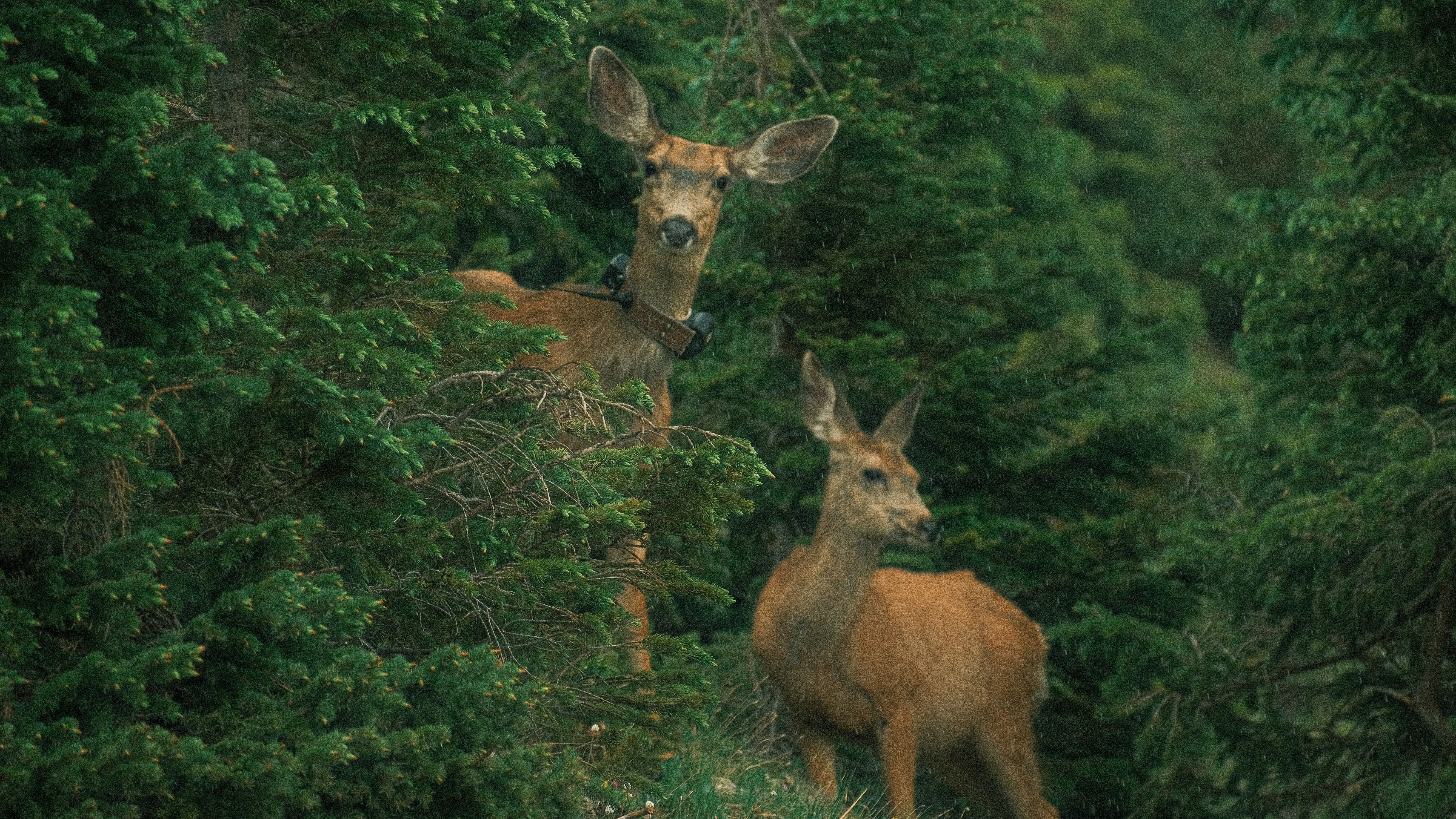 Photo by maxmeadowcroft