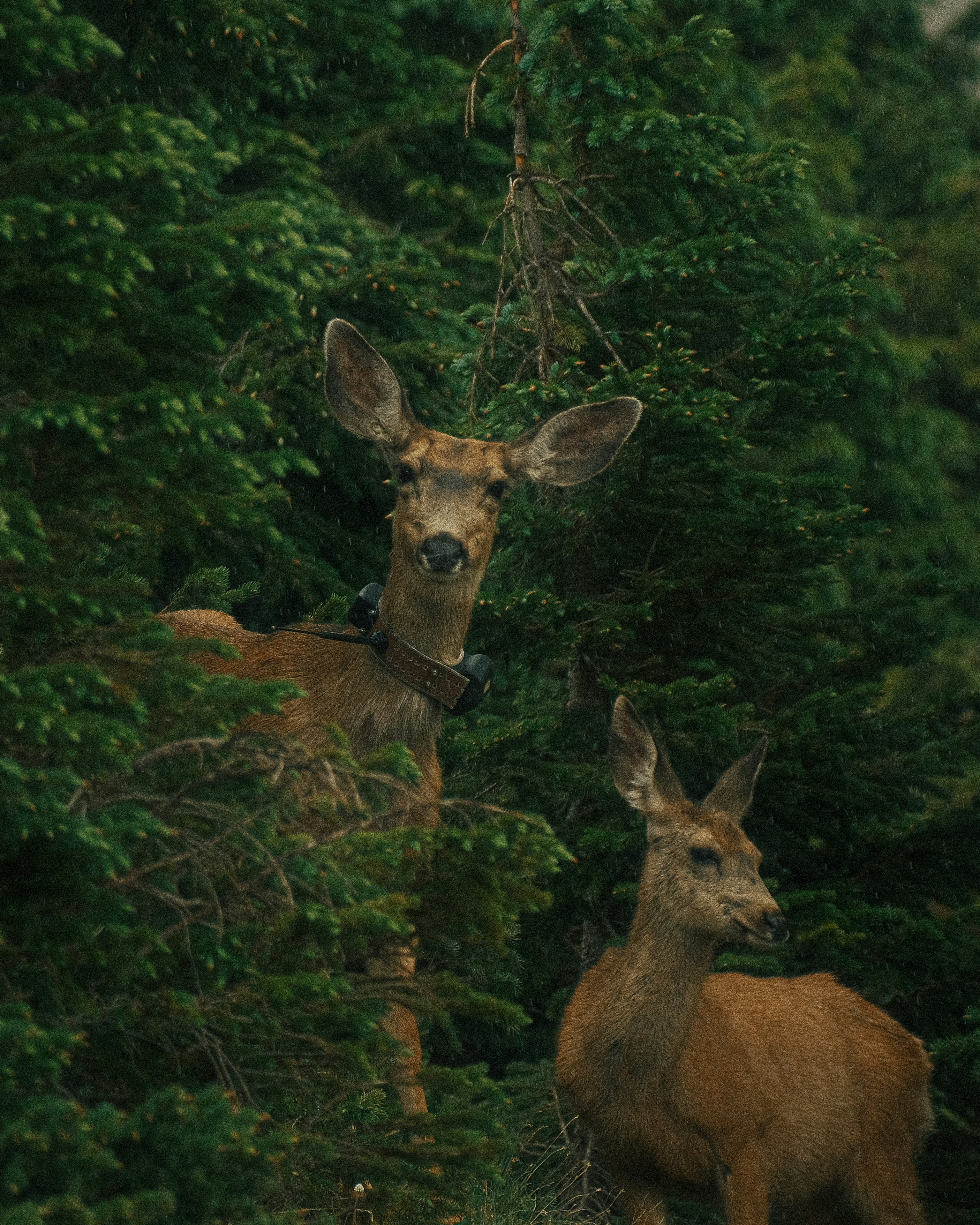 Photo by maxmeadowcroft