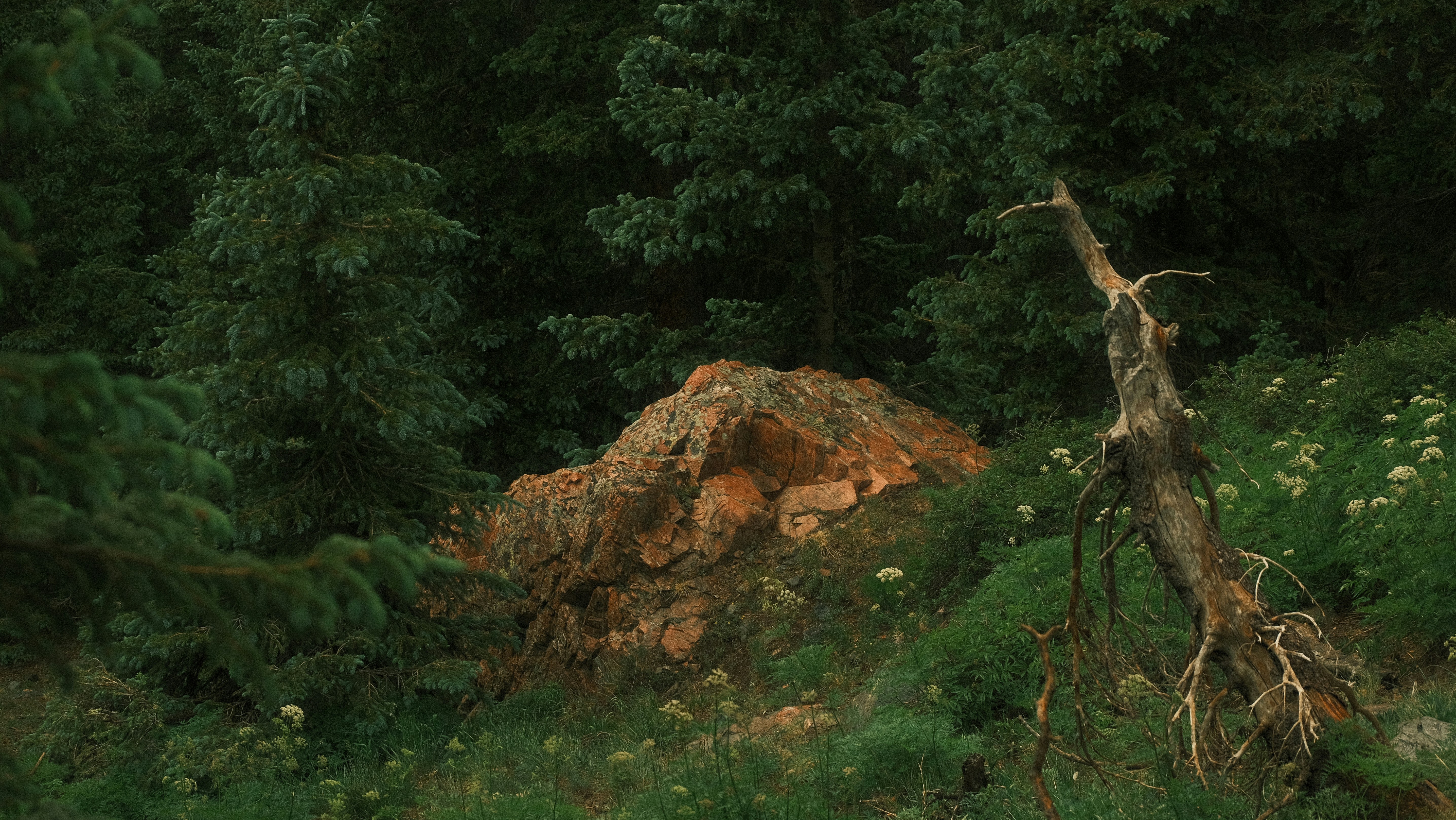 Photo by maxmeadowcroft