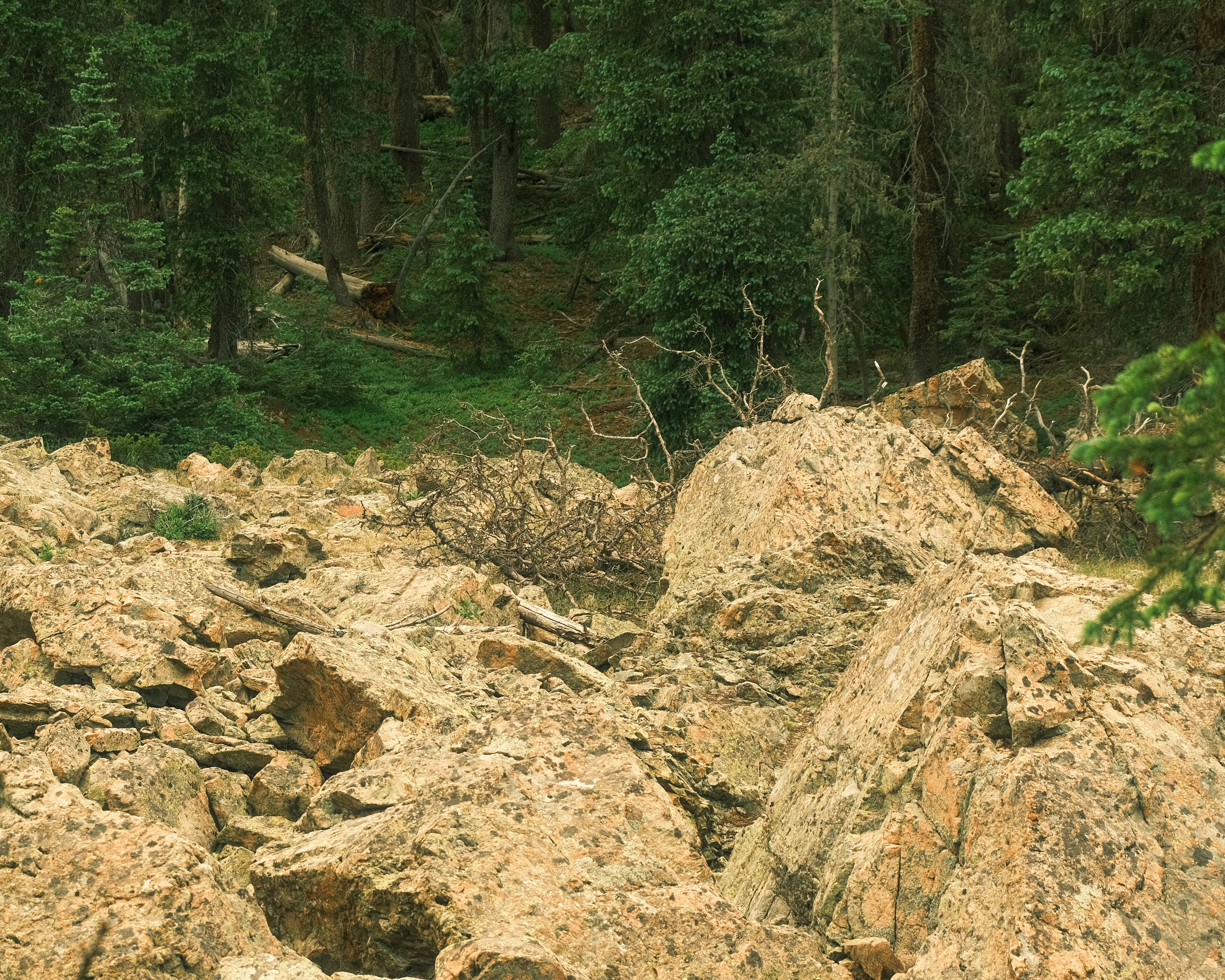 Photo by maxmeadowcroft