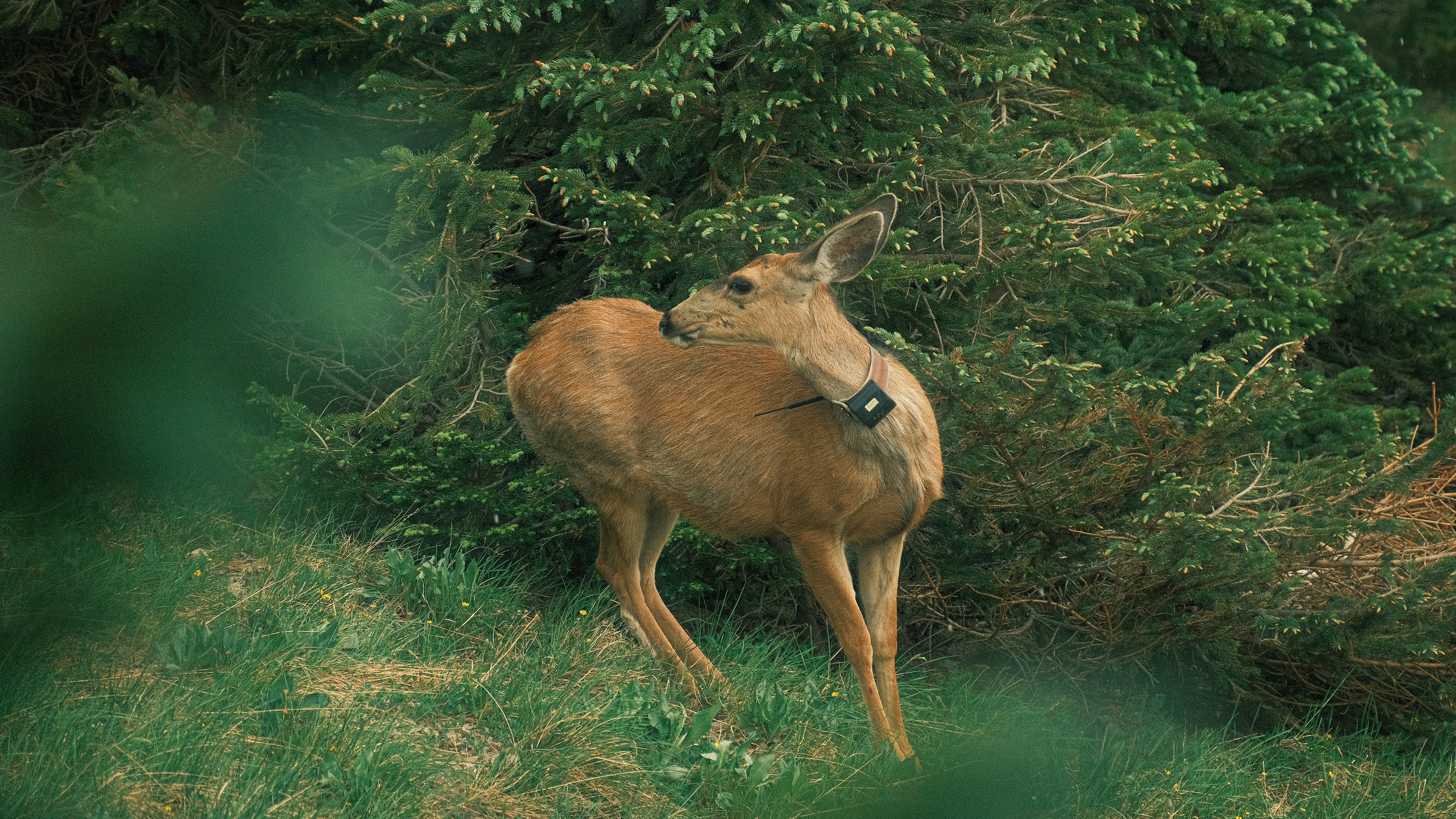 Photo by maxmeadowcroft