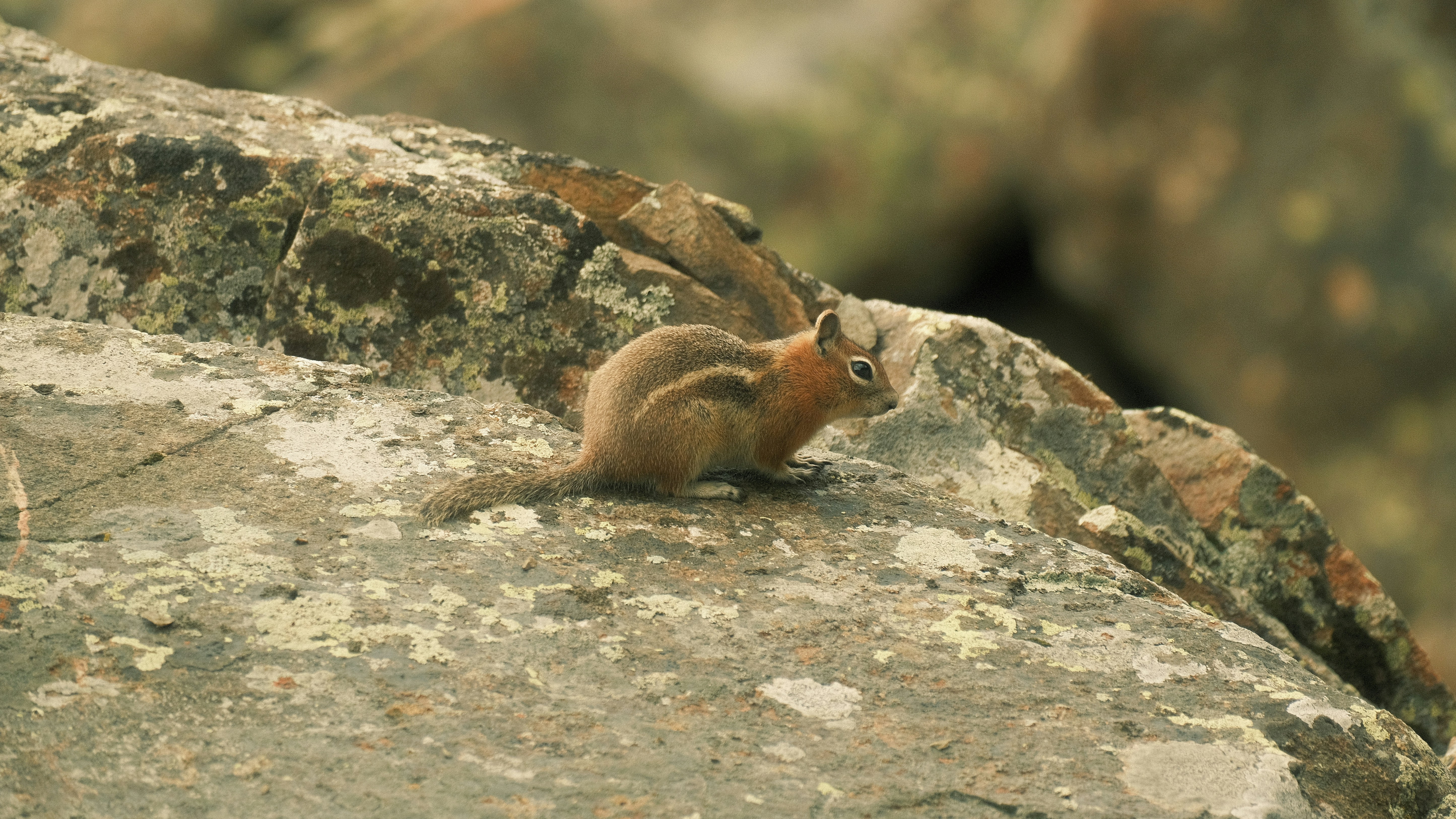 Photo by maxmeadowcroft