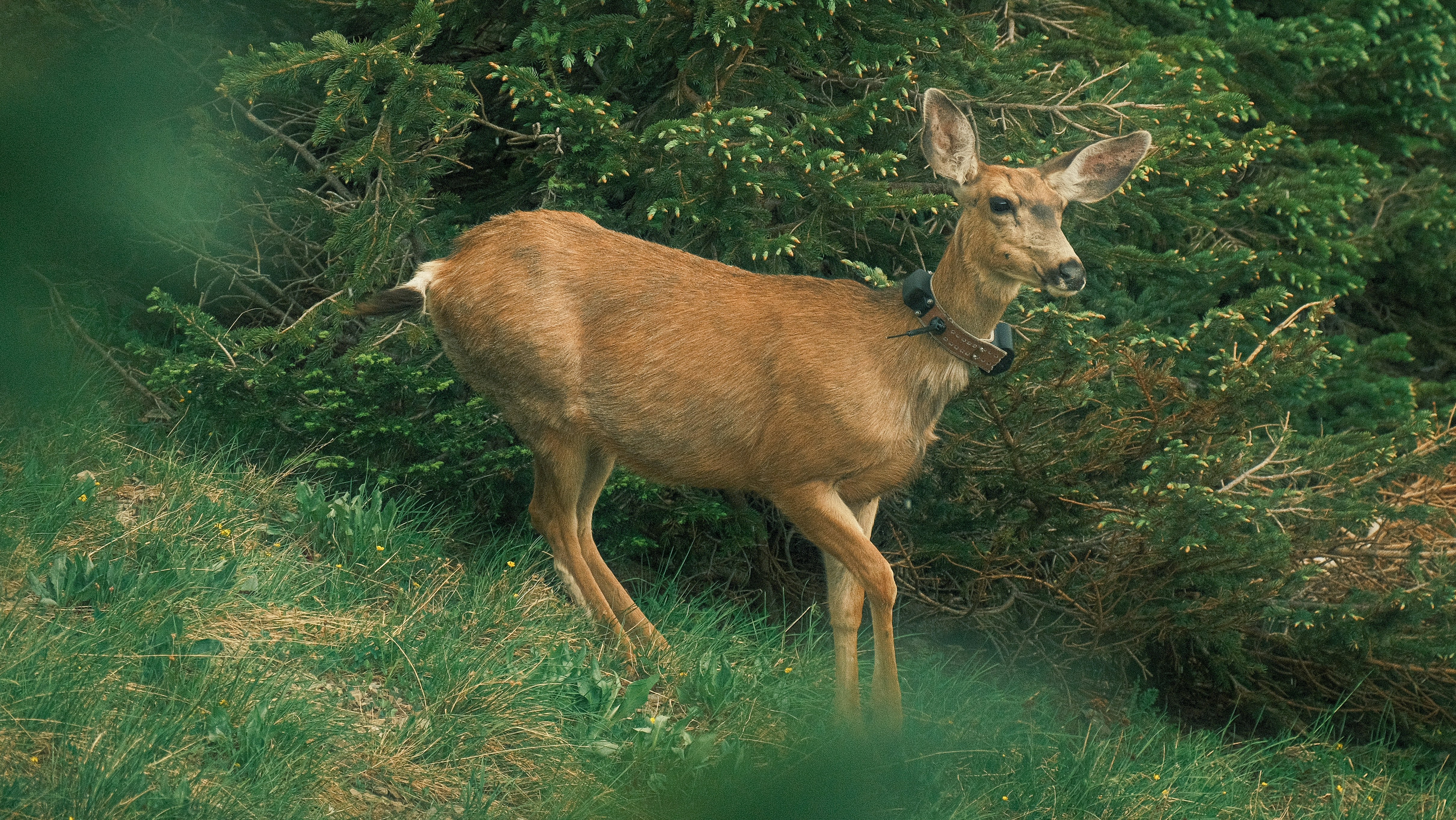 Photo by maxmeadowcroft